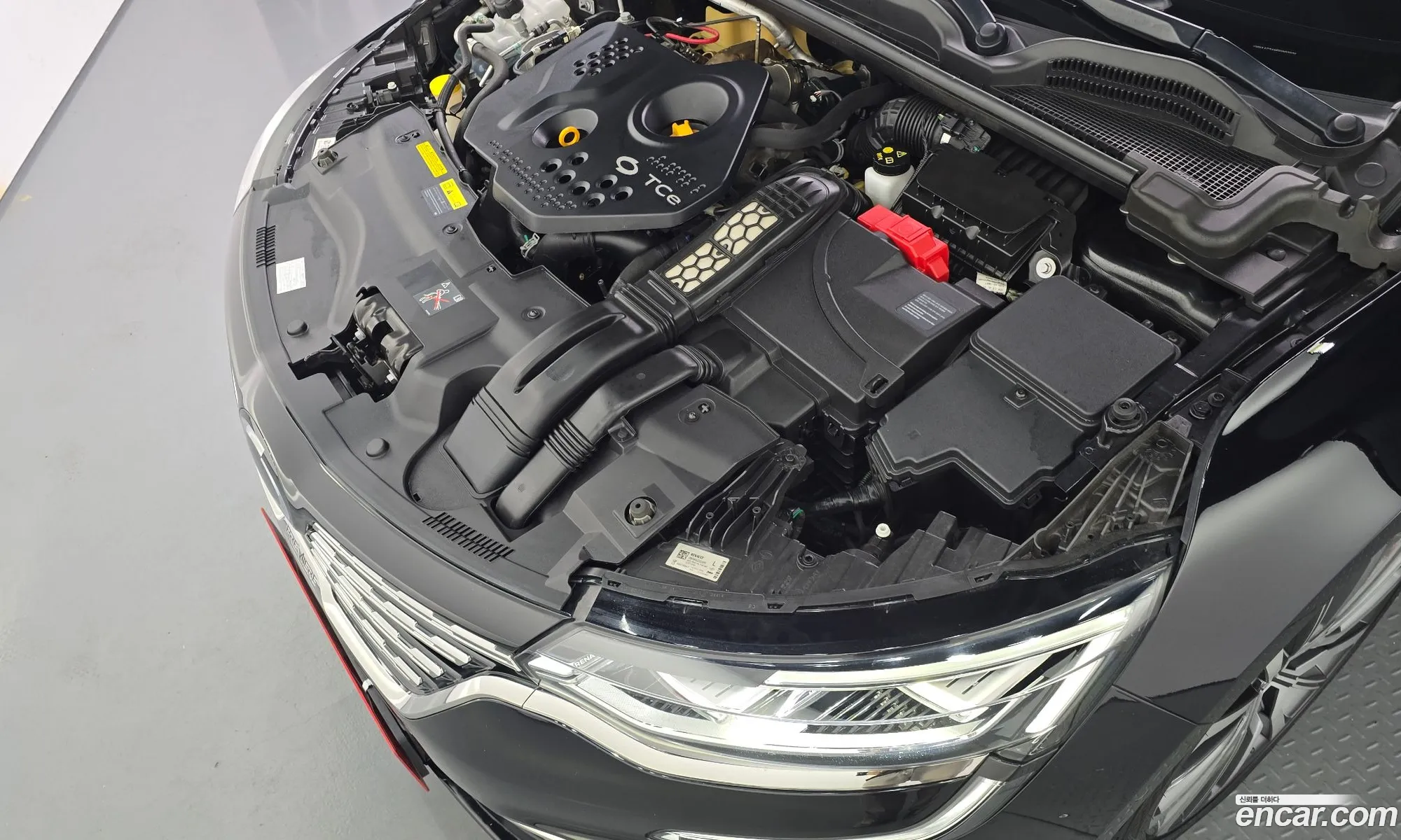 Renault Korea (Samsung) SM6 2022 — 5