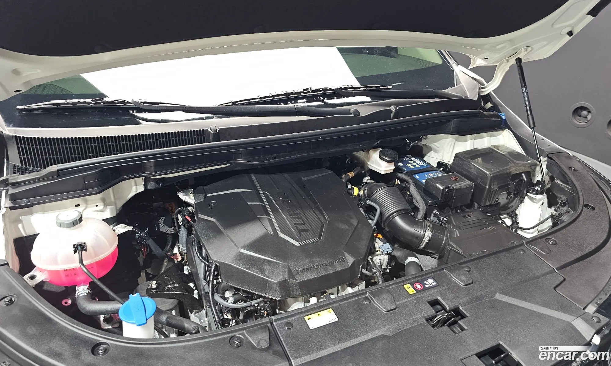 Kia Carnival 2024 — 25