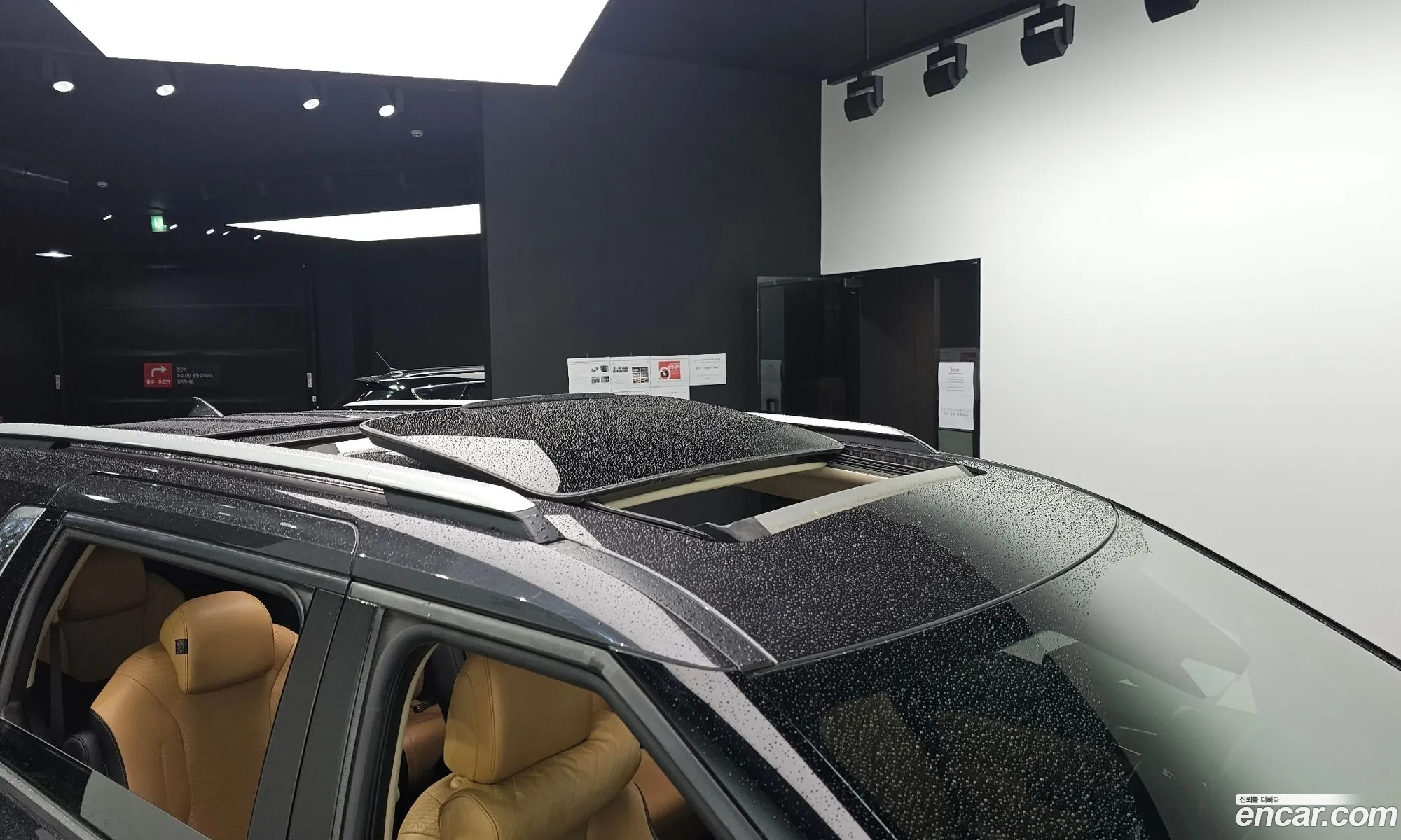 Kia Carnival 2022 — 19