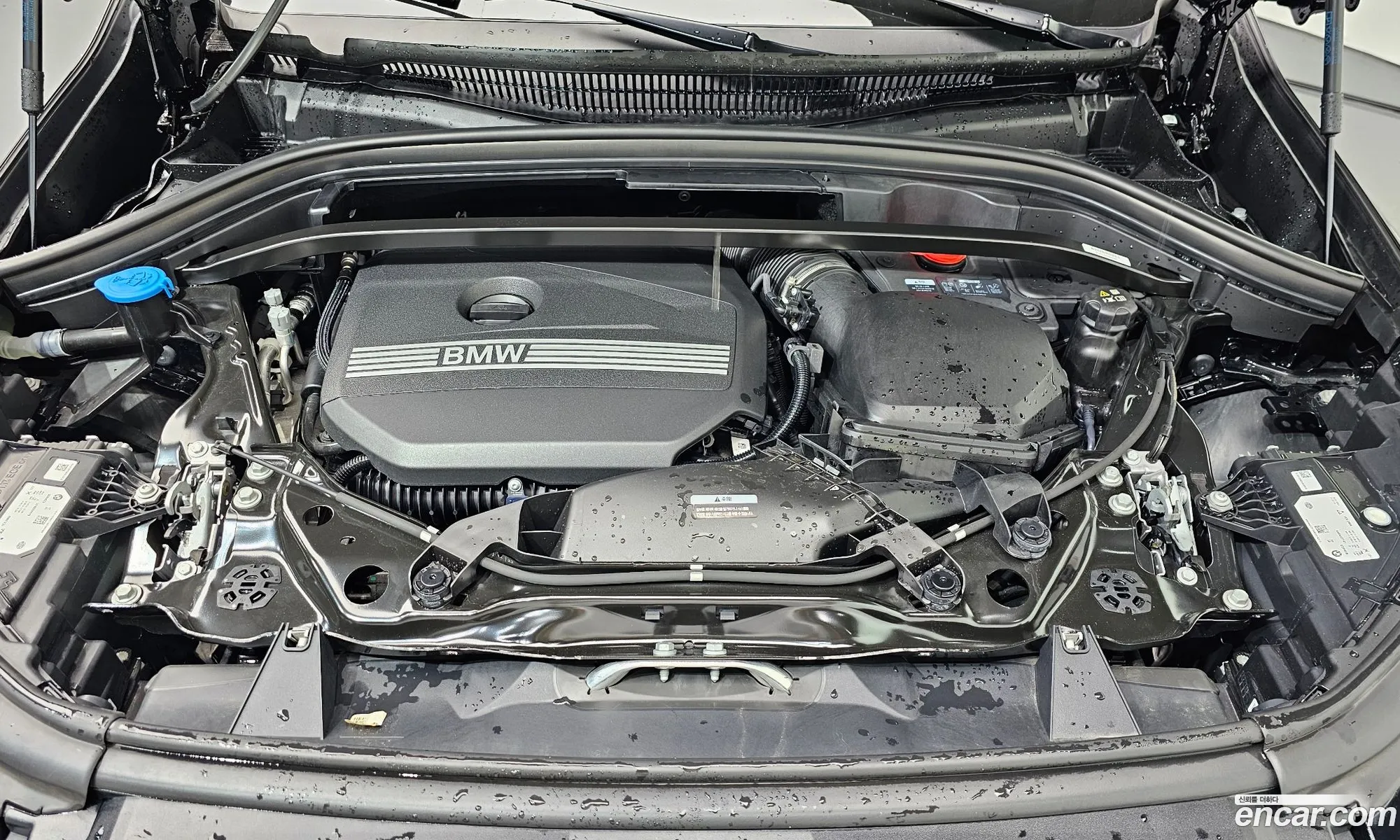 BMW X1 2024 WBA51EE03R5Y81041 — 8