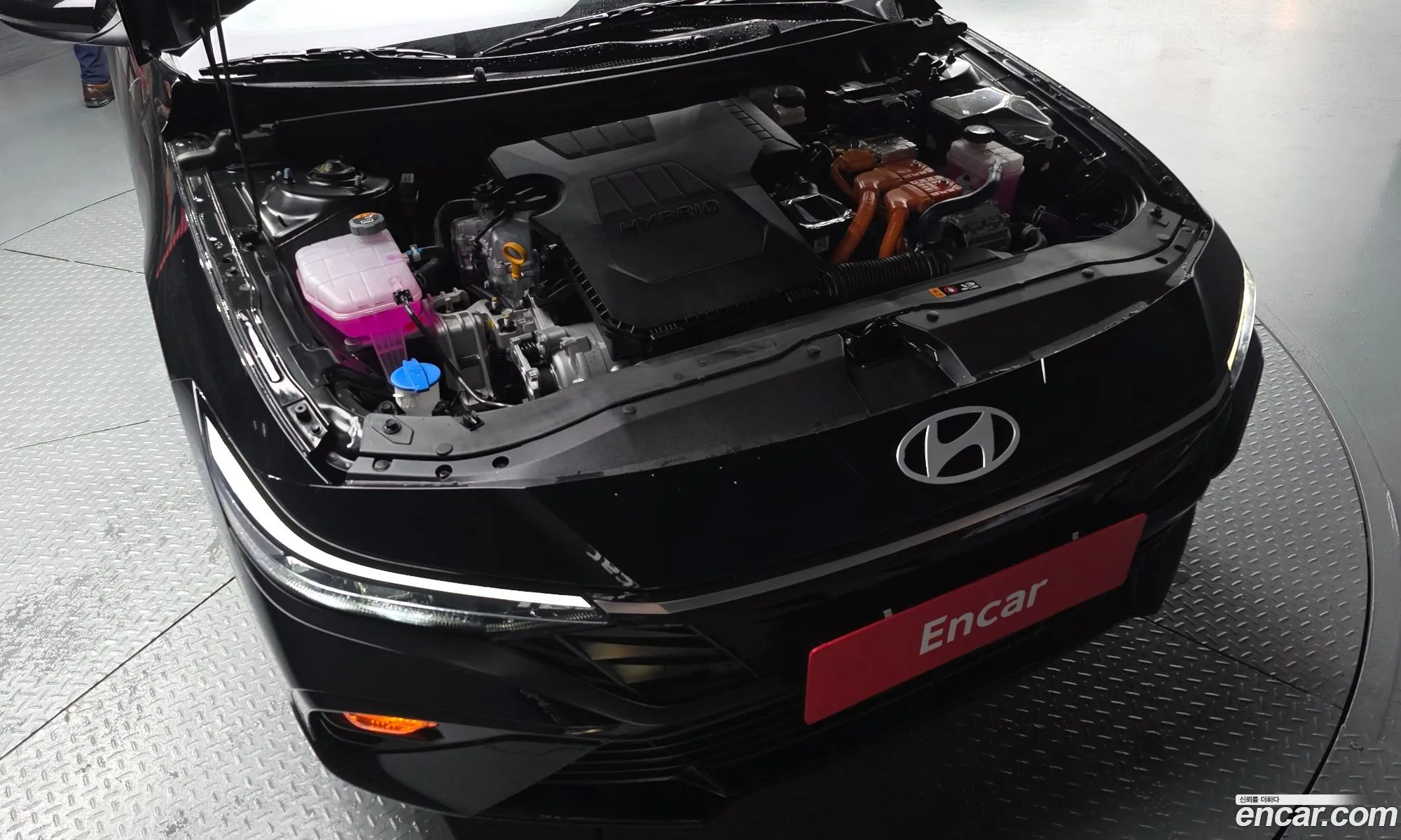 Hyundai Elantra Hybrid 2025 — 9