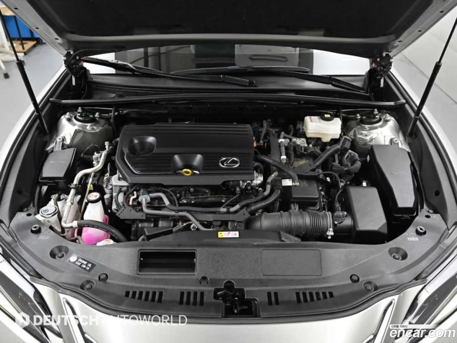 Lexus ES300h 7th Gen 2024 — 5