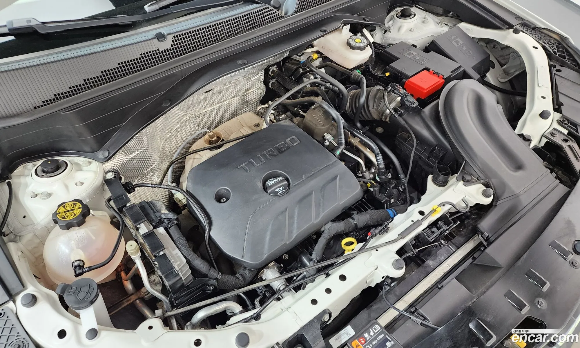 Chevrolet (GM Daewoo) Trailblazer 2023 — 15