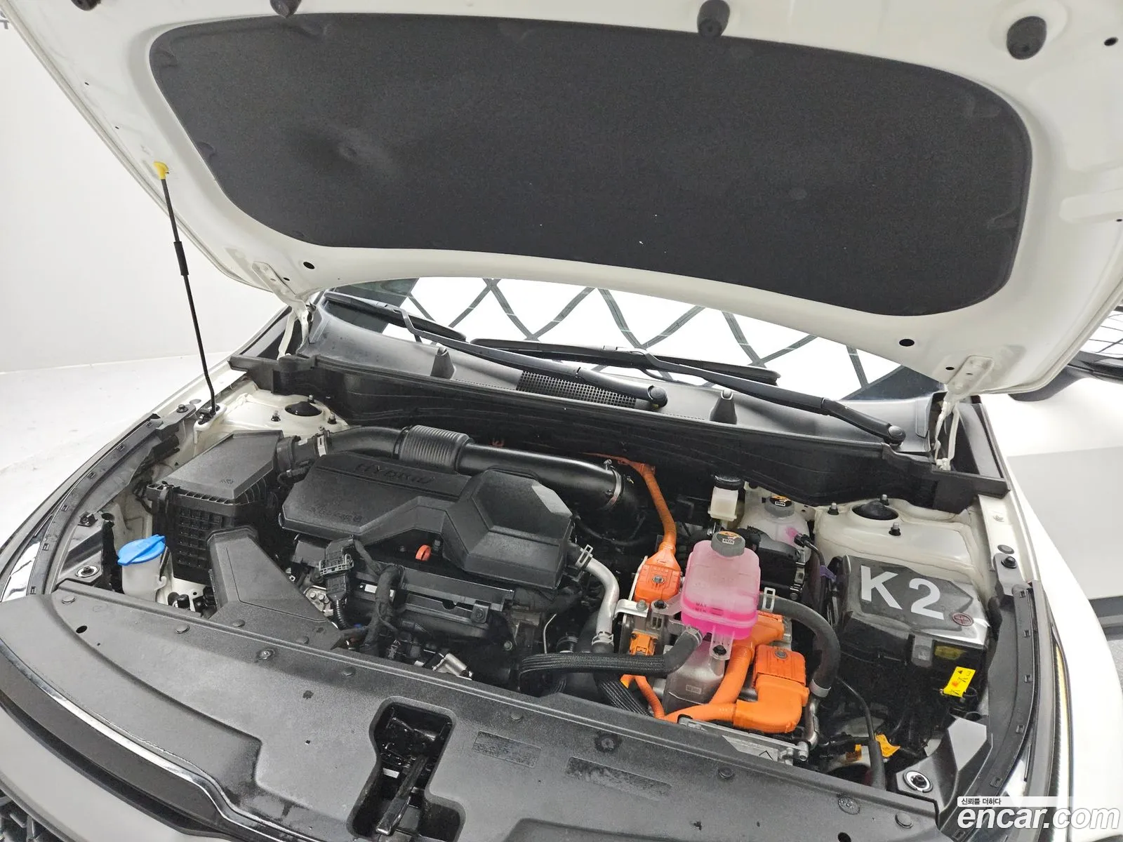 Kia Sportage Hybrid 2024 — 2