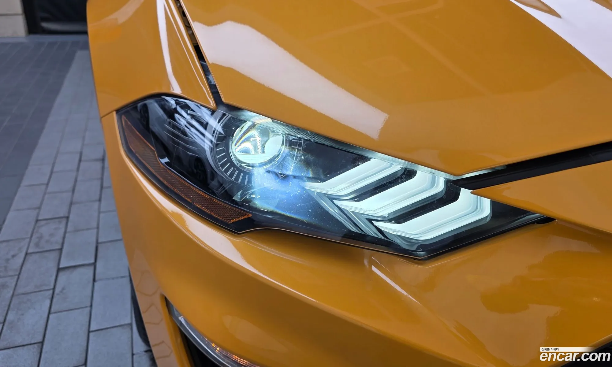 Ford Mustang 2022 1FA6P8TH3N5102401 — 12