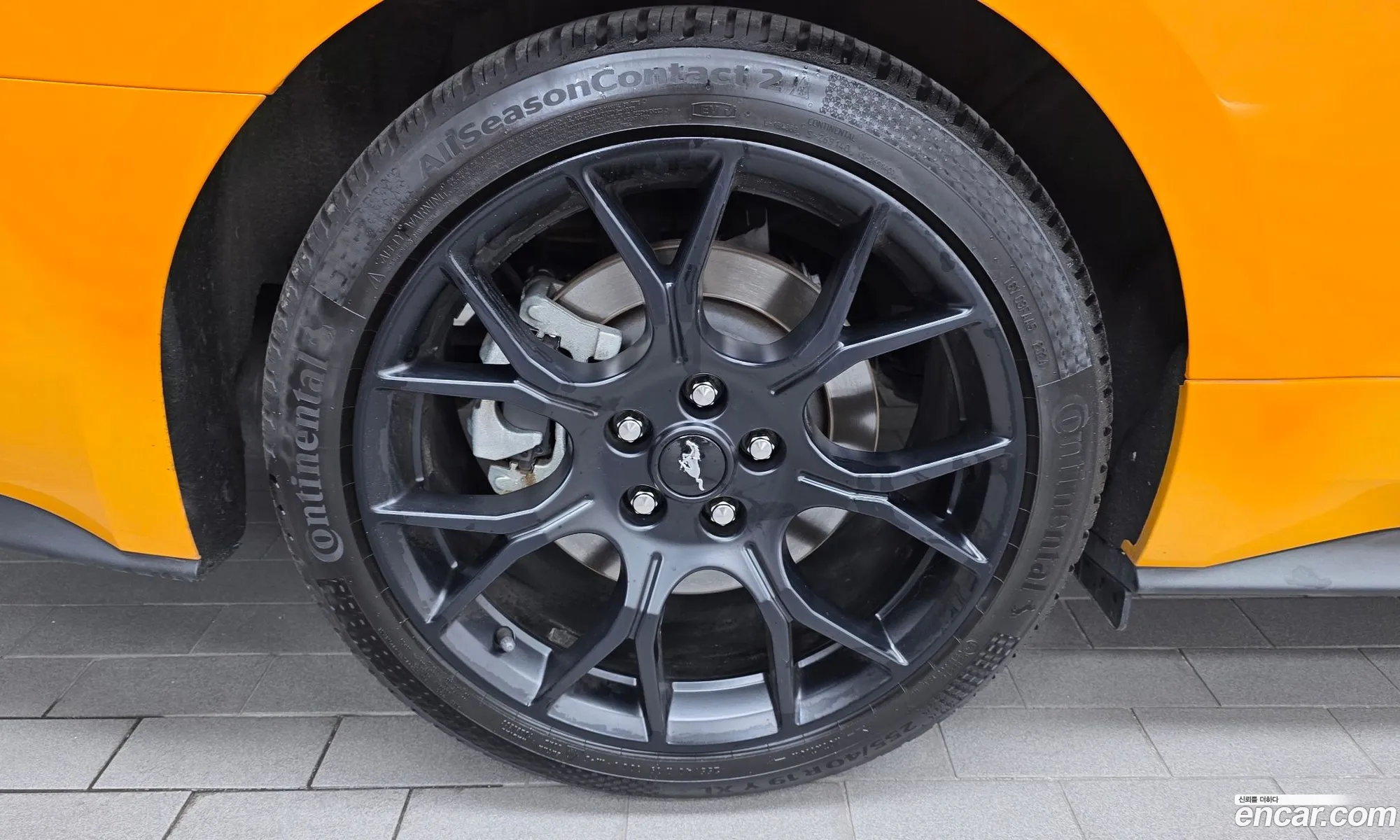 Ford Mustang 2022 1FA6P8TH3N5102401 — 23