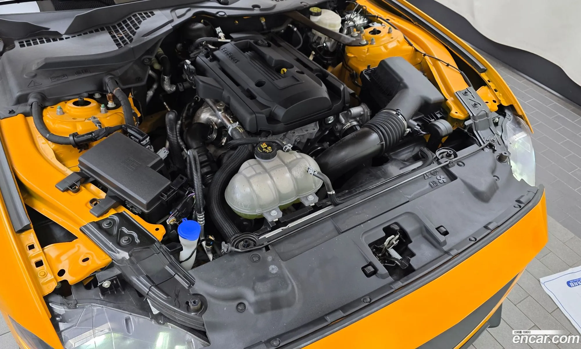 Ford Mustang 2022 1FA6P8TH3N5102401 — 18