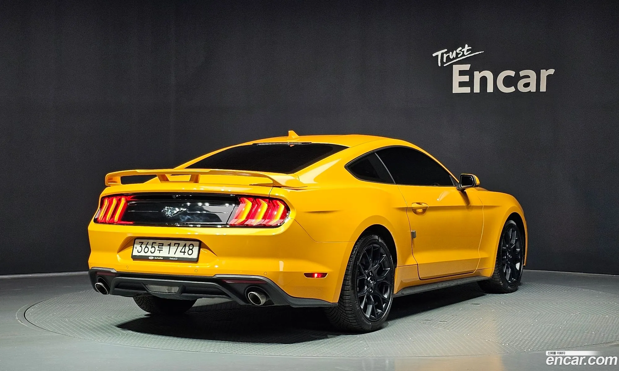 Ford Mustang 2022 1FA6P8TH3N5102401 — 9