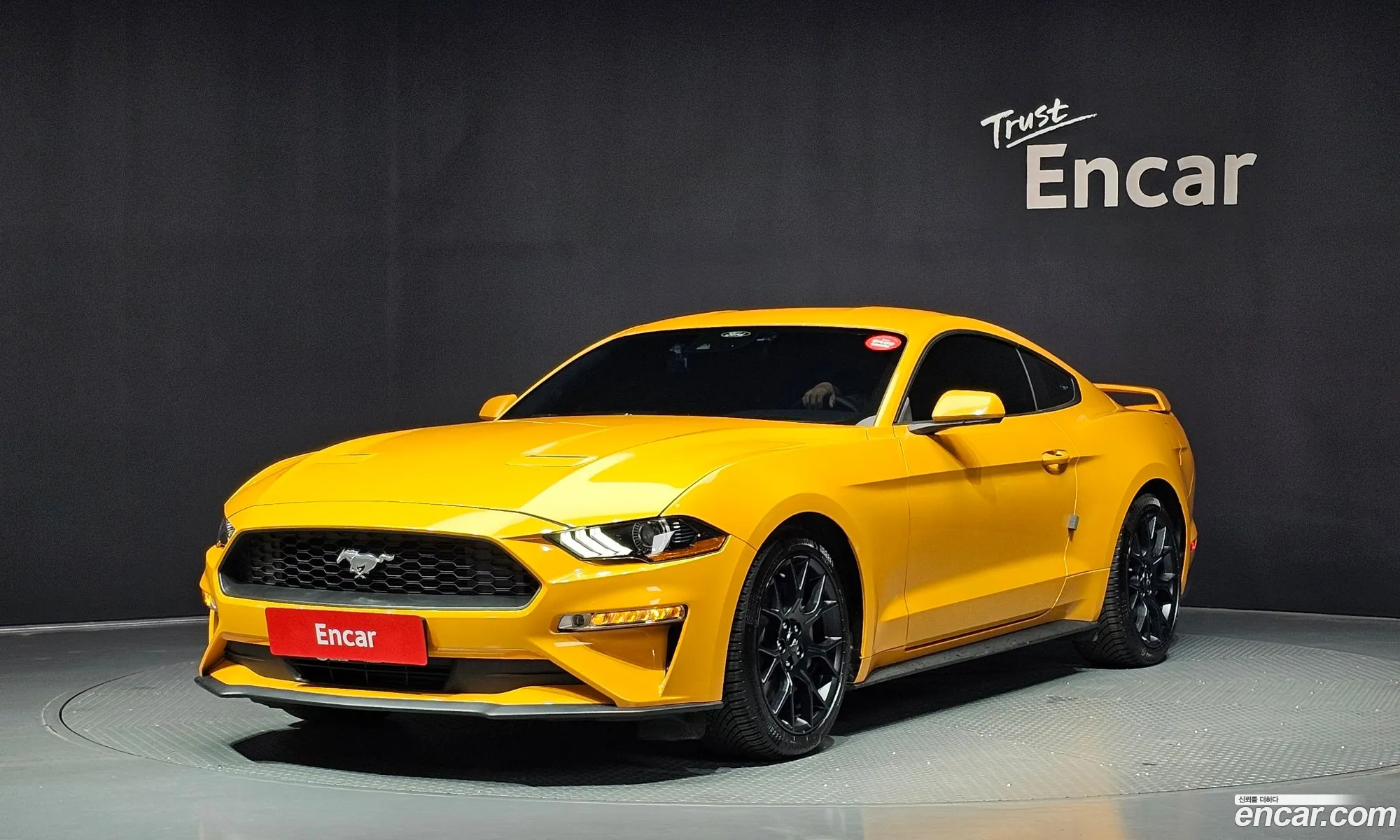 Ford Mustang 2022 1FA6P8TH3N5102401 — 30