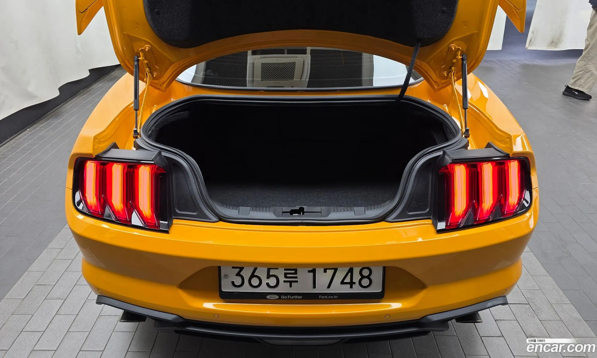Ford Mustang 2022 1FA6P8TH3N5102401 — 19