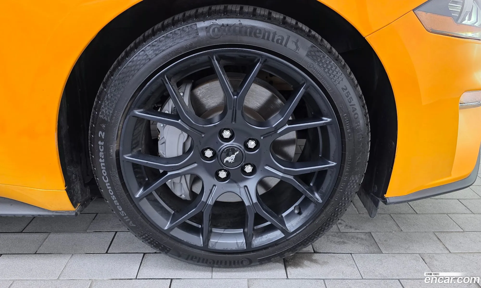 Ford Mustang 2022 1FA6P8TH3N5102401 — 3