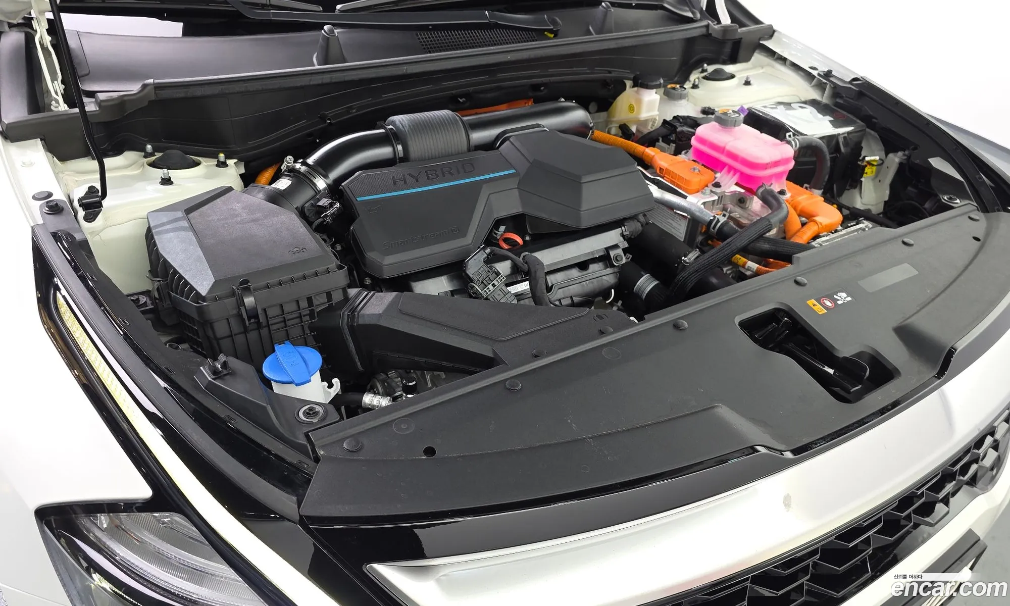 Kia Sportage Hybrid 2024 — 5
