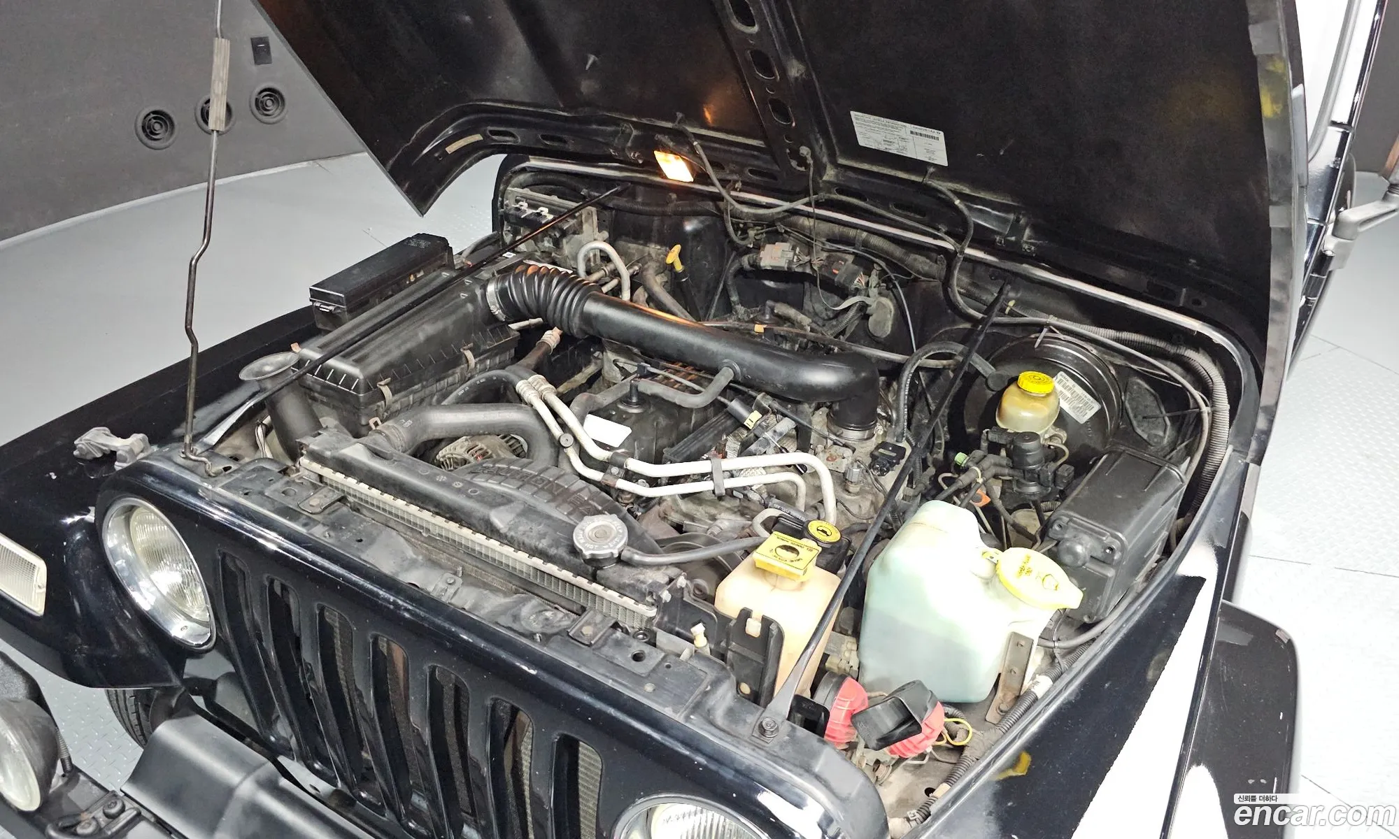 Jeep Wrangler 2000 1J4FAA9S9YP787786 — 19