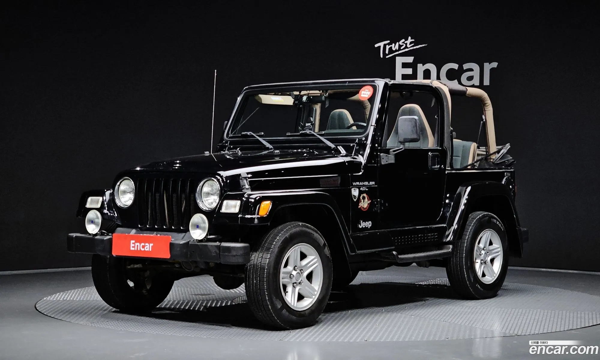 Jeep Wrangler 2000 1J4FAA9S9YP787786 — 13