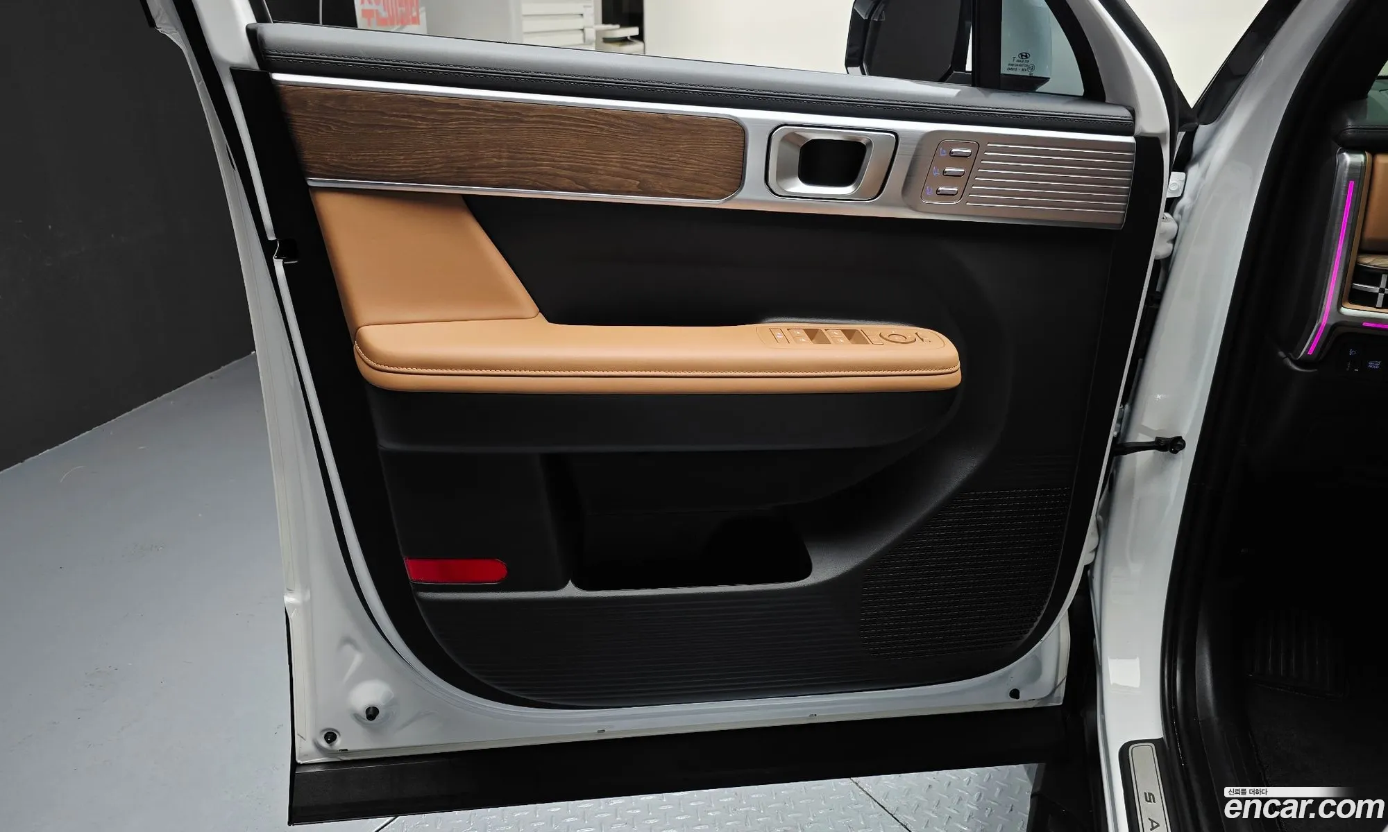Hyundai Santa Fe 2025 — 23