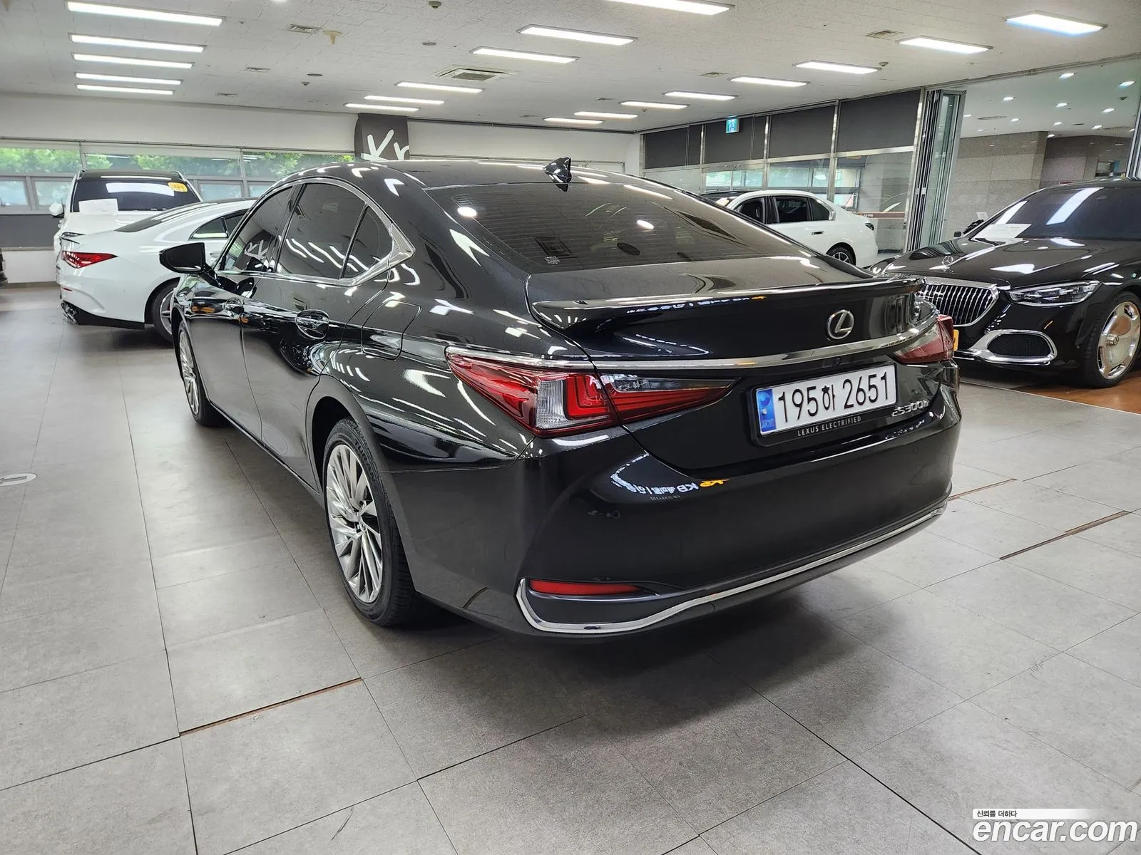 Lexus ES300h 7th Gen 2023 — 2