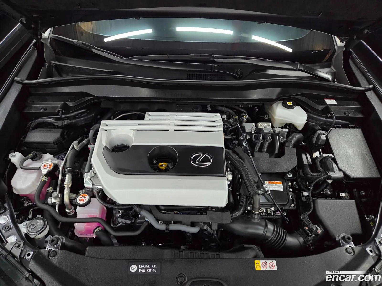 Lexus UX250h 2023 — 15