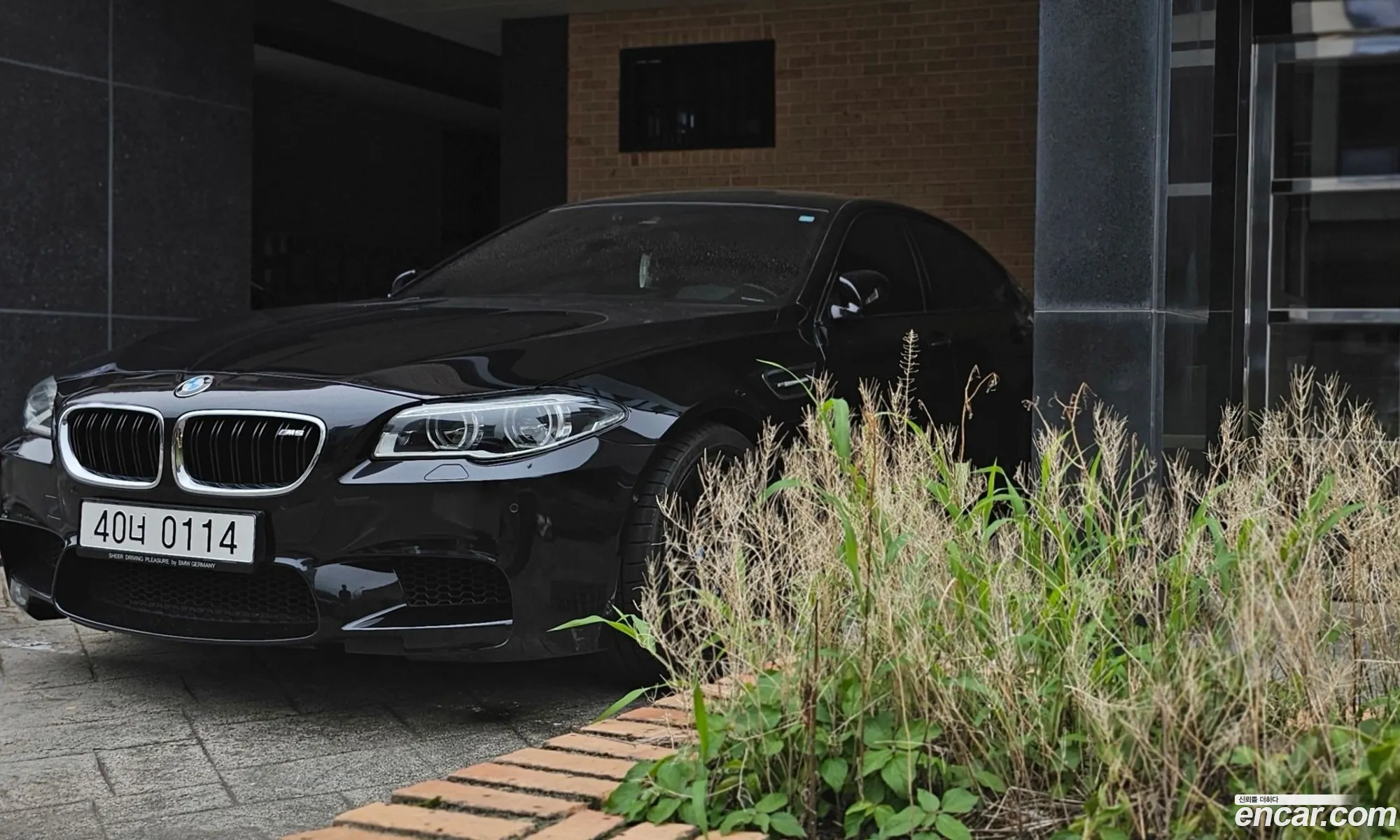 BMW M5 2016 — 17