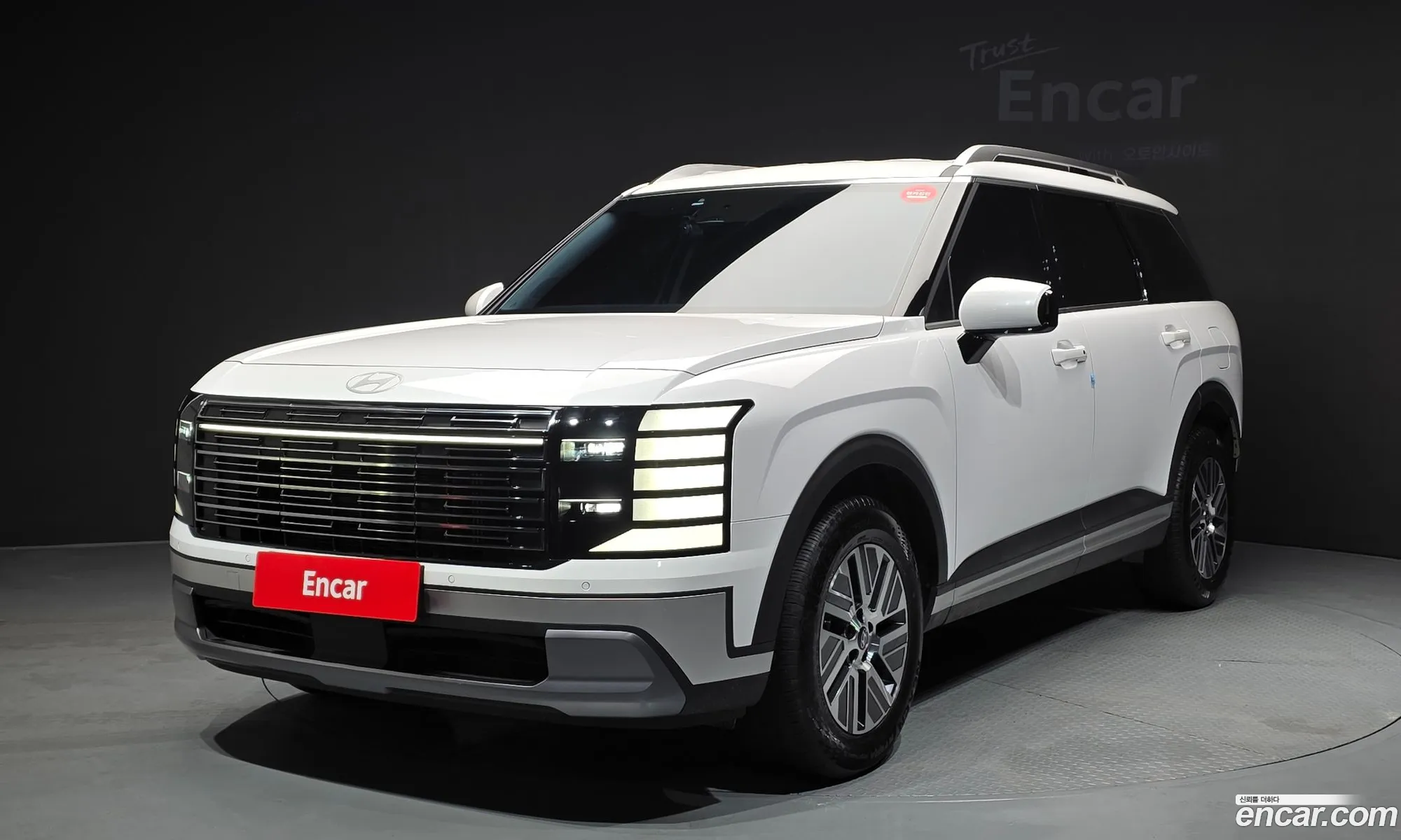 Hyundai Palisade 2025 — 25