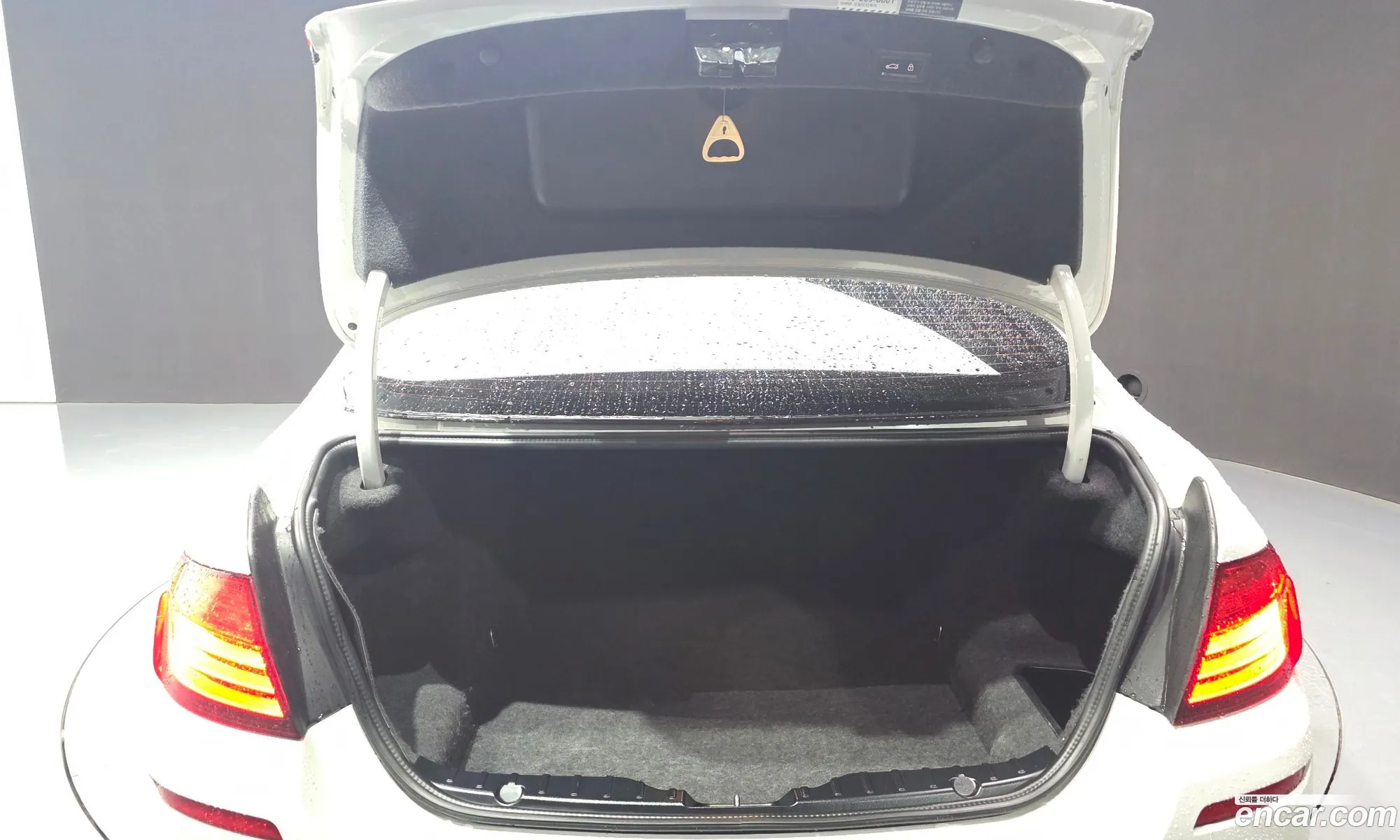 BMW 5 Series 2016 WBA5A7109GG297424 — 18