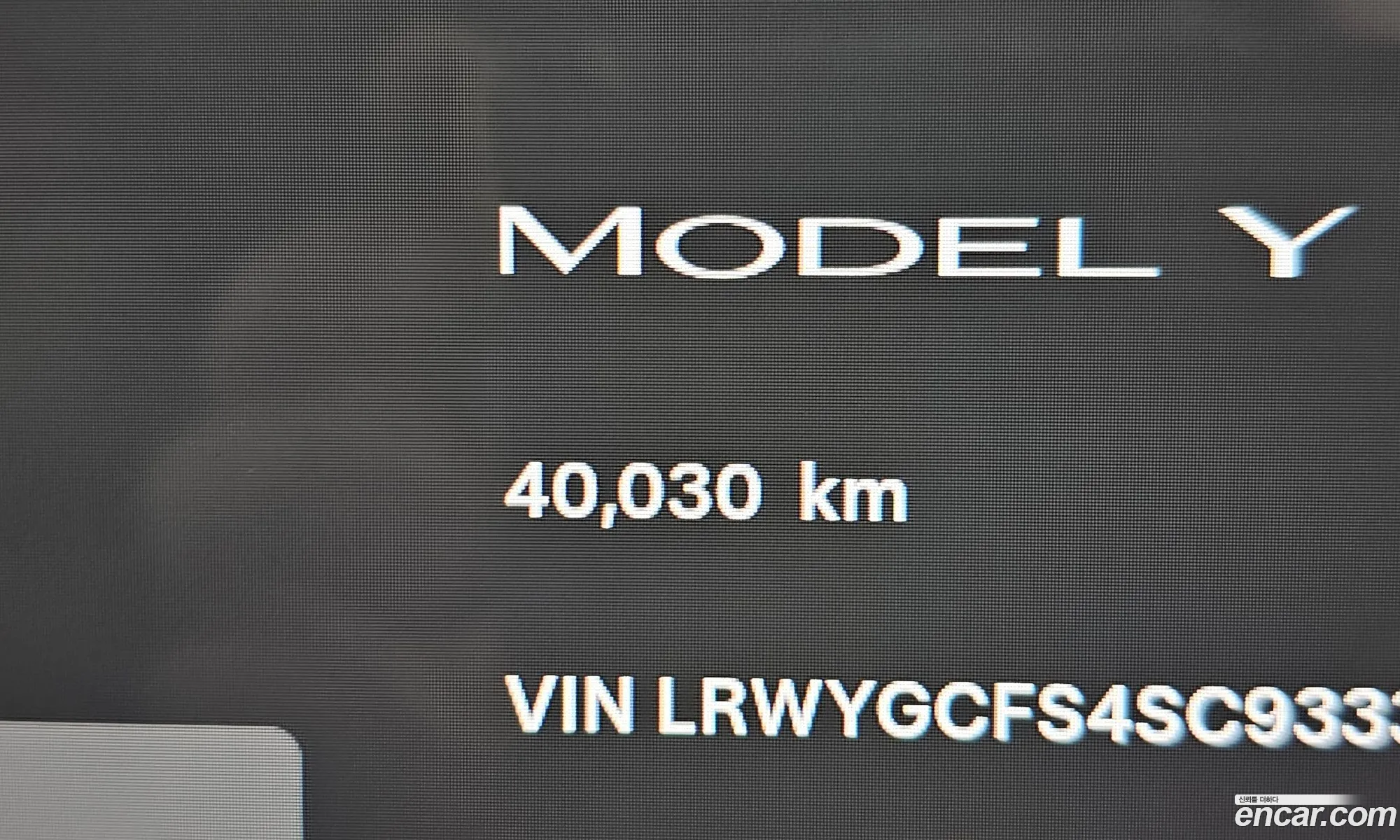 Tesla Model Y 2025 — 19