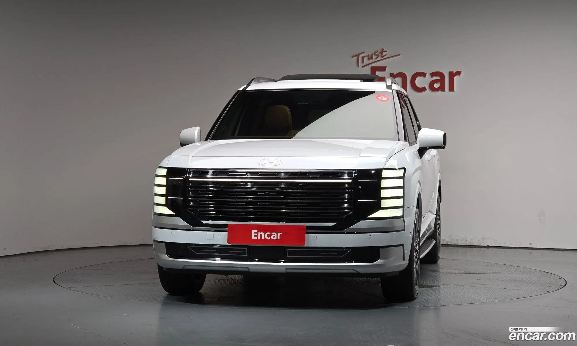Hyundai Palisade 2025 — 14