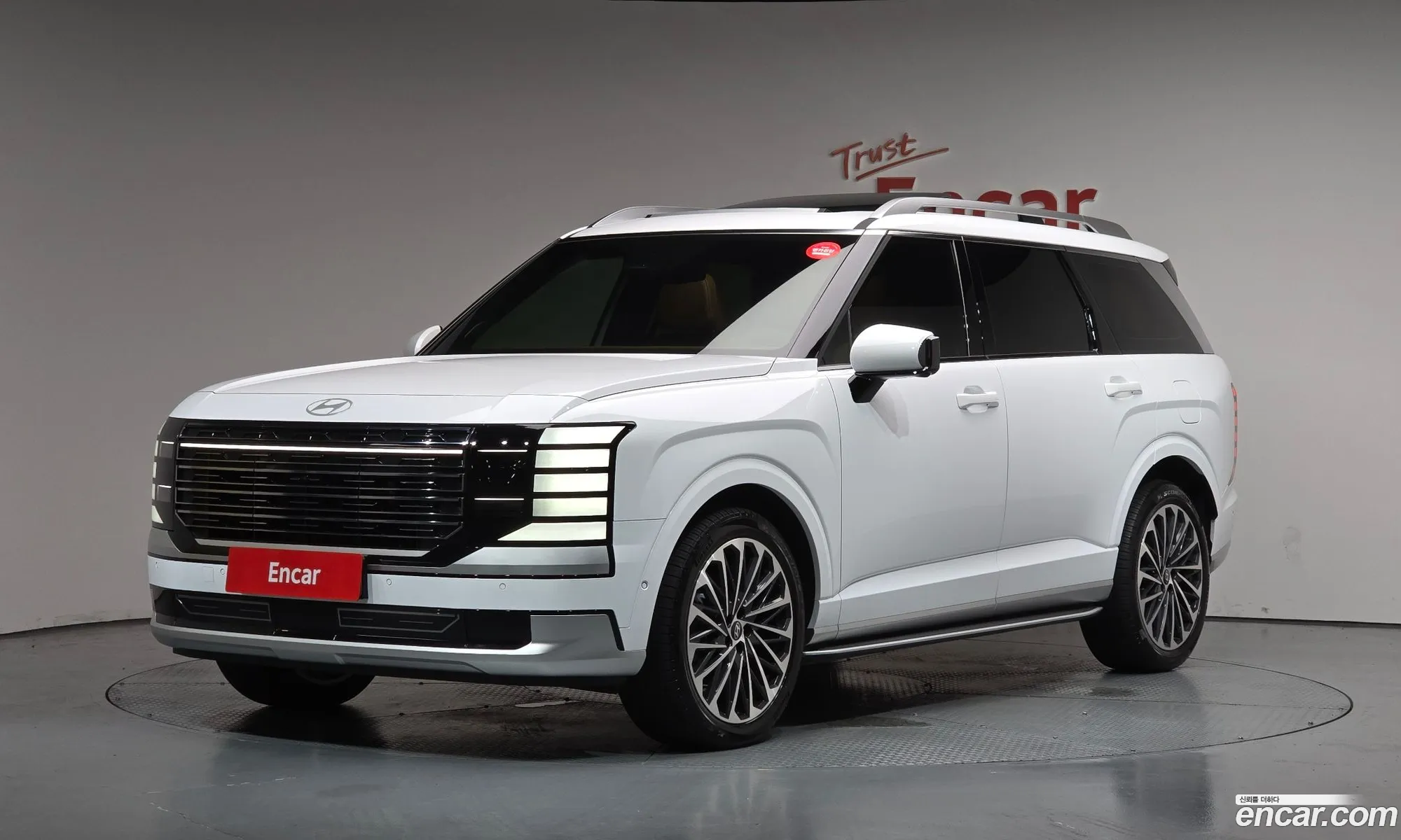 Hyundai Palisade 2025 — 17