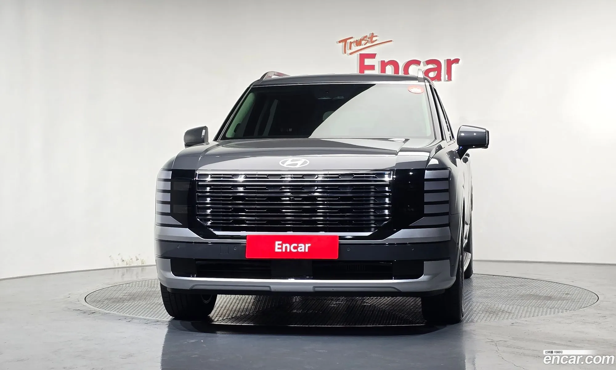 Hyundai Palisade 2025 — 10