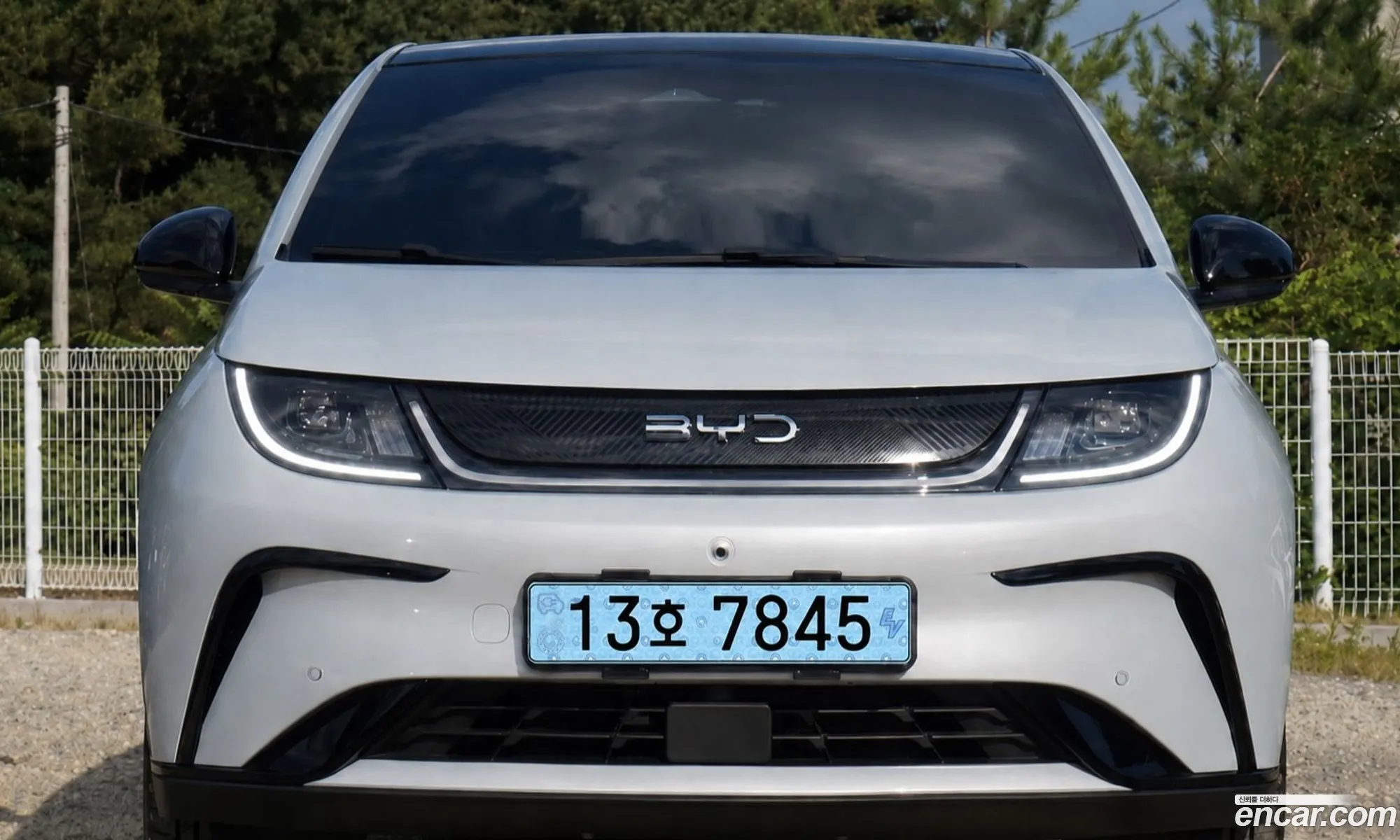 BYD Dolphin 2026 — 16