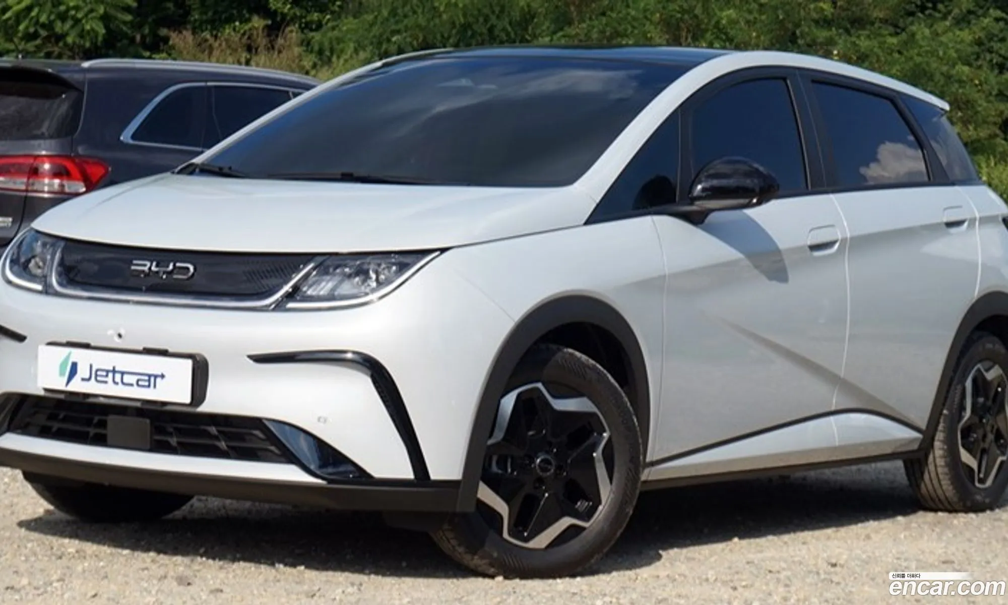 BYD Dolphin 2026 — 15