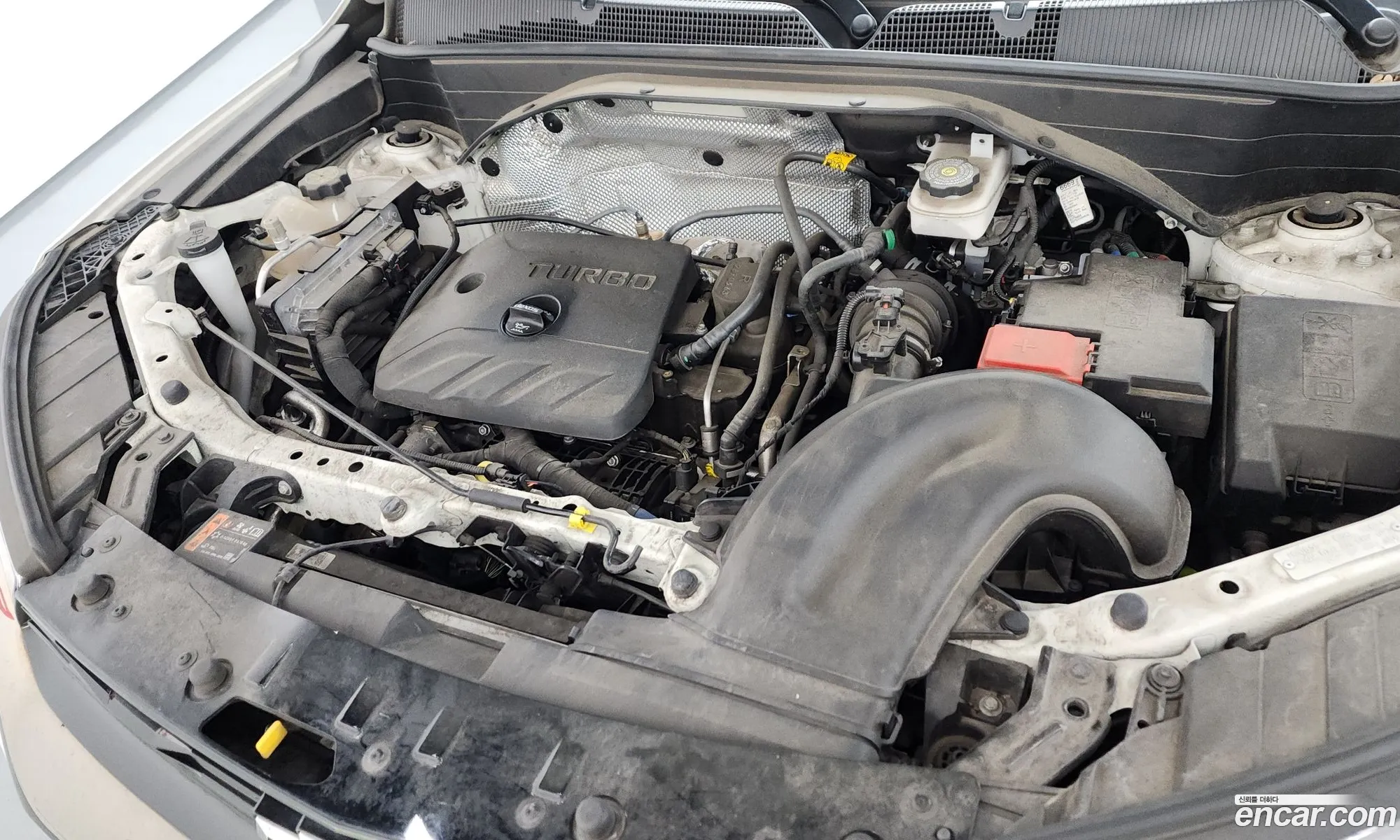 Chevrolet (GM Daewoo) Trailblazer 2023 — 29