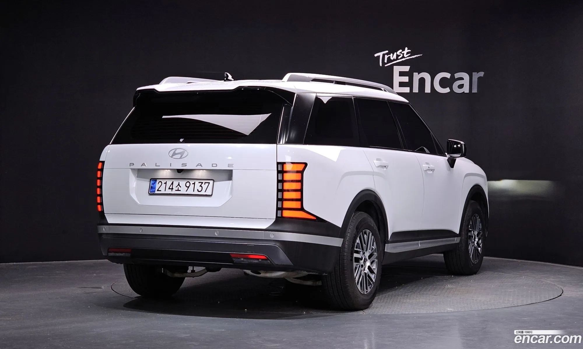 Hyundai Palisade 2025 — 30