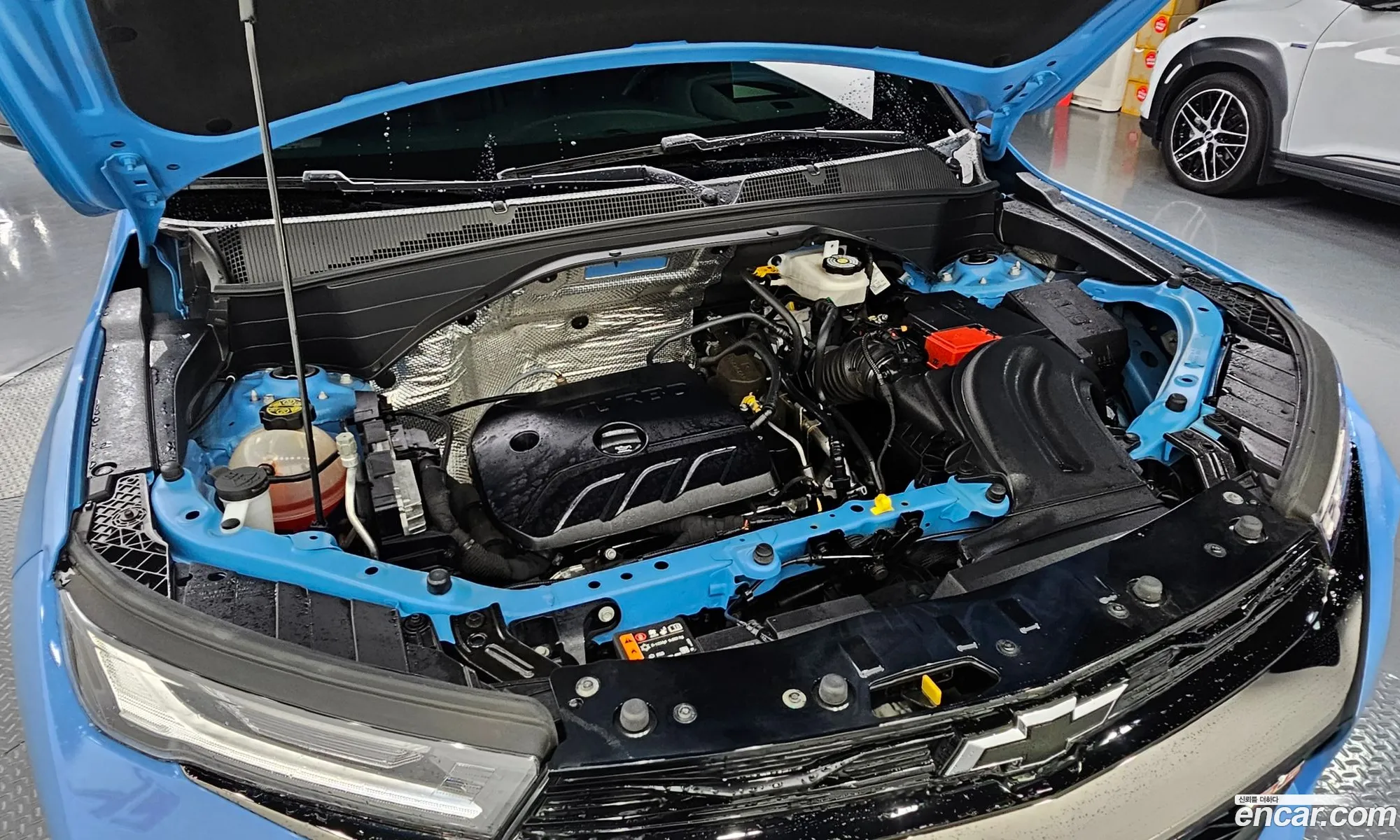 Chevrolet (GM Daewoo) Trailblazer 2022 — 15