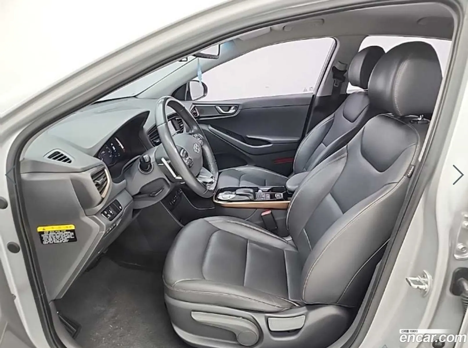 Hyundai Ioniq Electric 2016 — 5