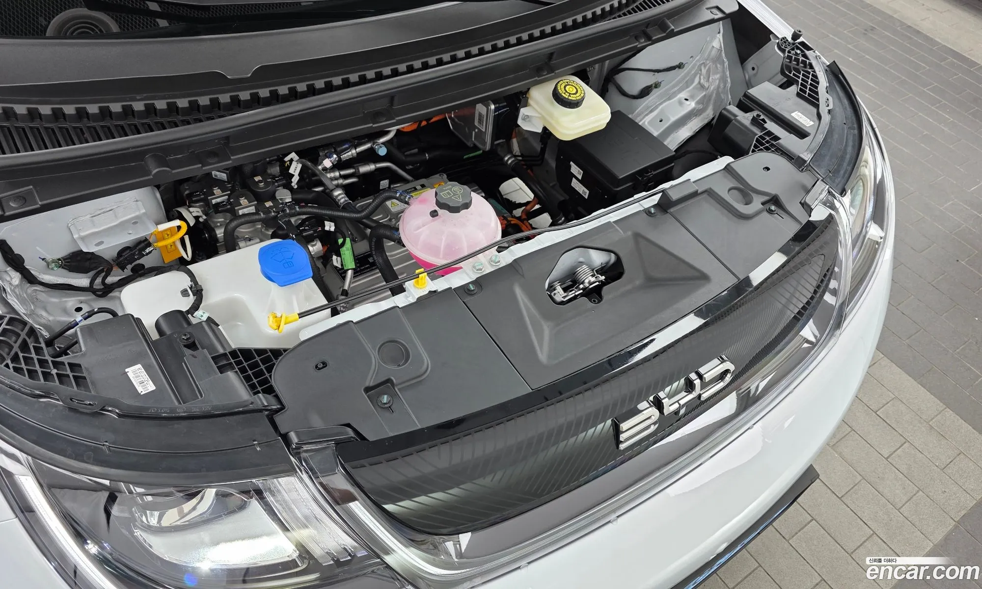 BYD Dolphin 2026 LGXCE4CC3T2158520 — 16