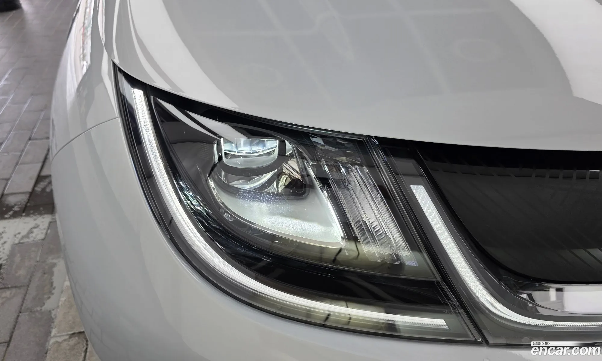 BYD Dolphin 2026 LGXCE4CC3T2158520 — 11