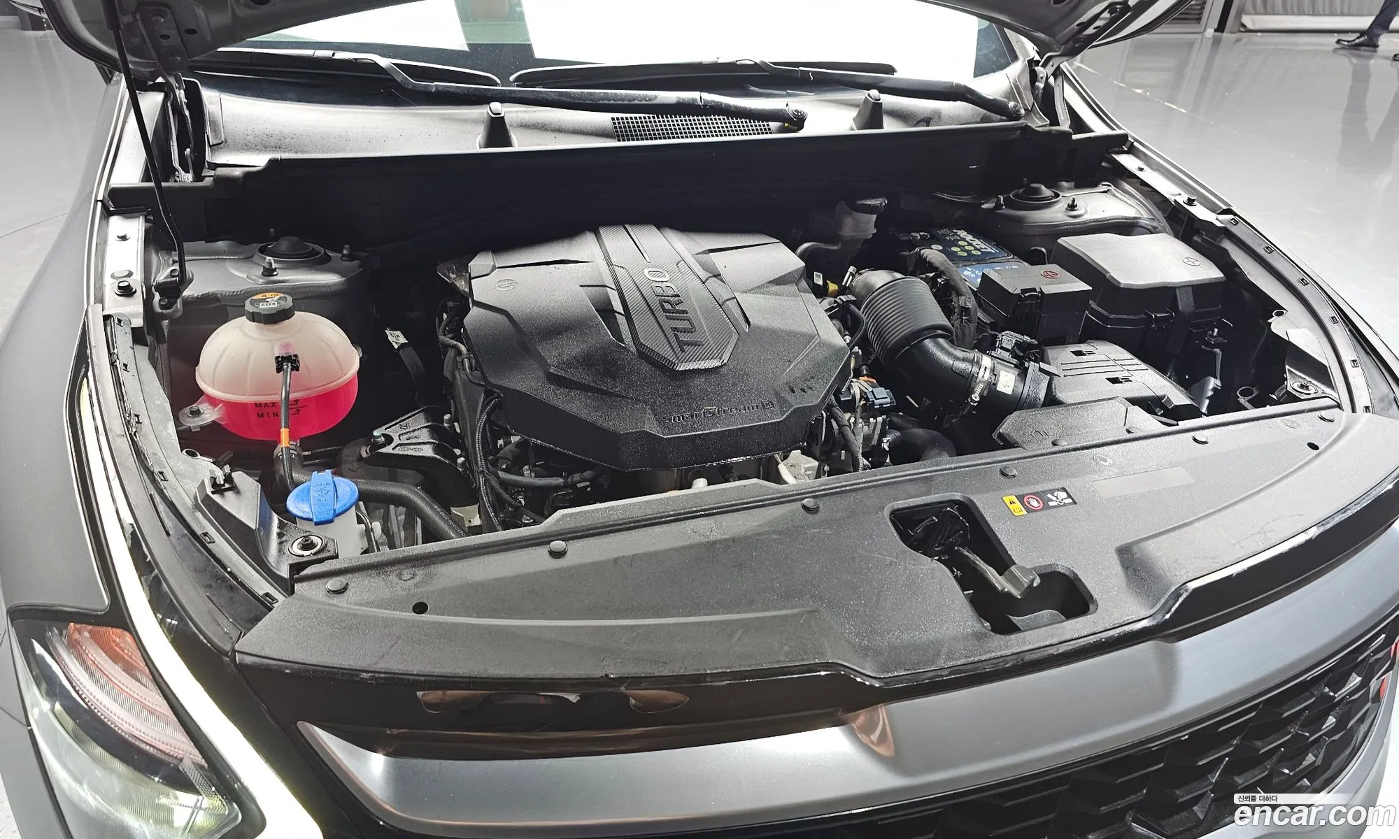 Kia Sportage 2022 — 23