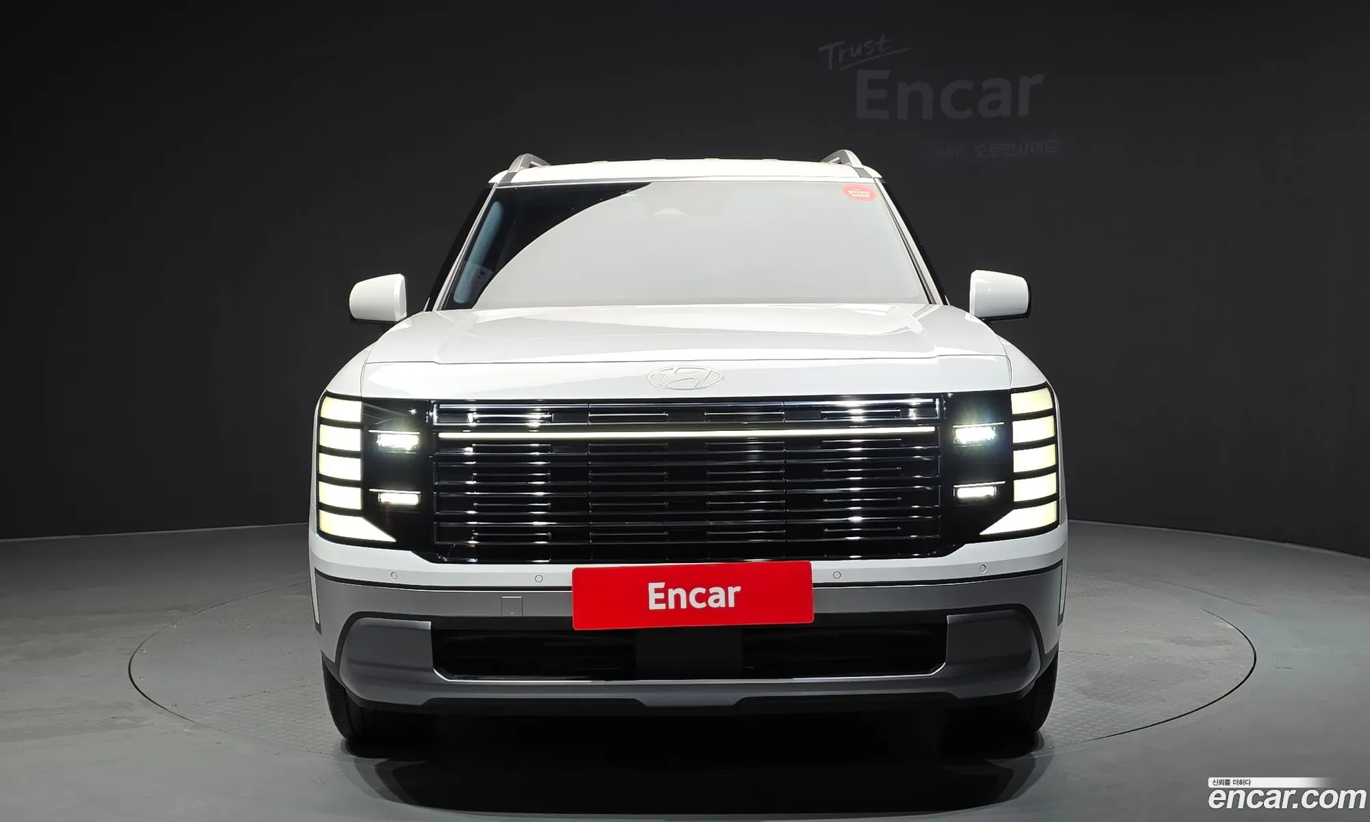 Hyundai Palisade 2025 — 21