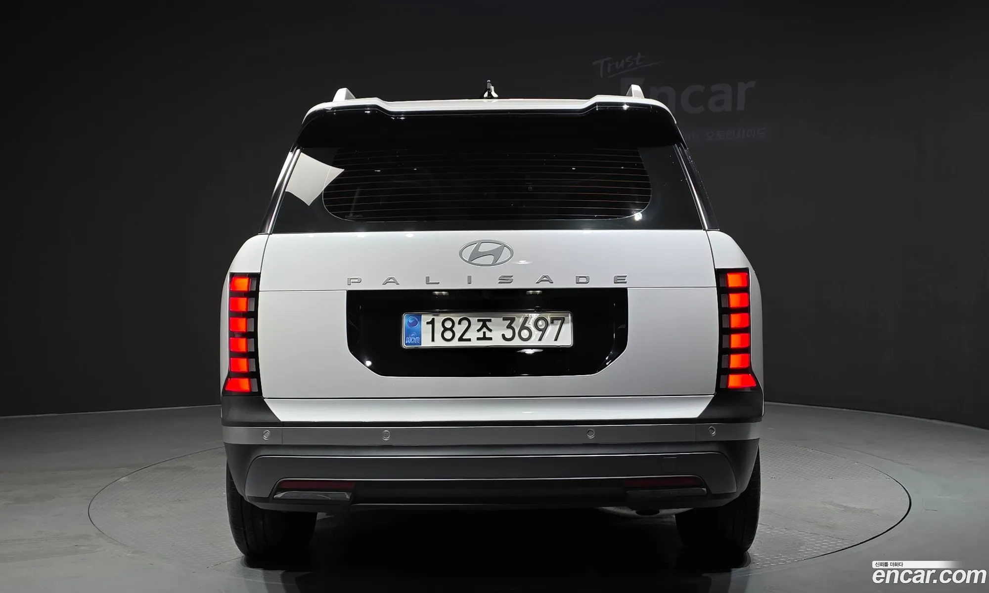 Hyundai Palisade 2025 — 17