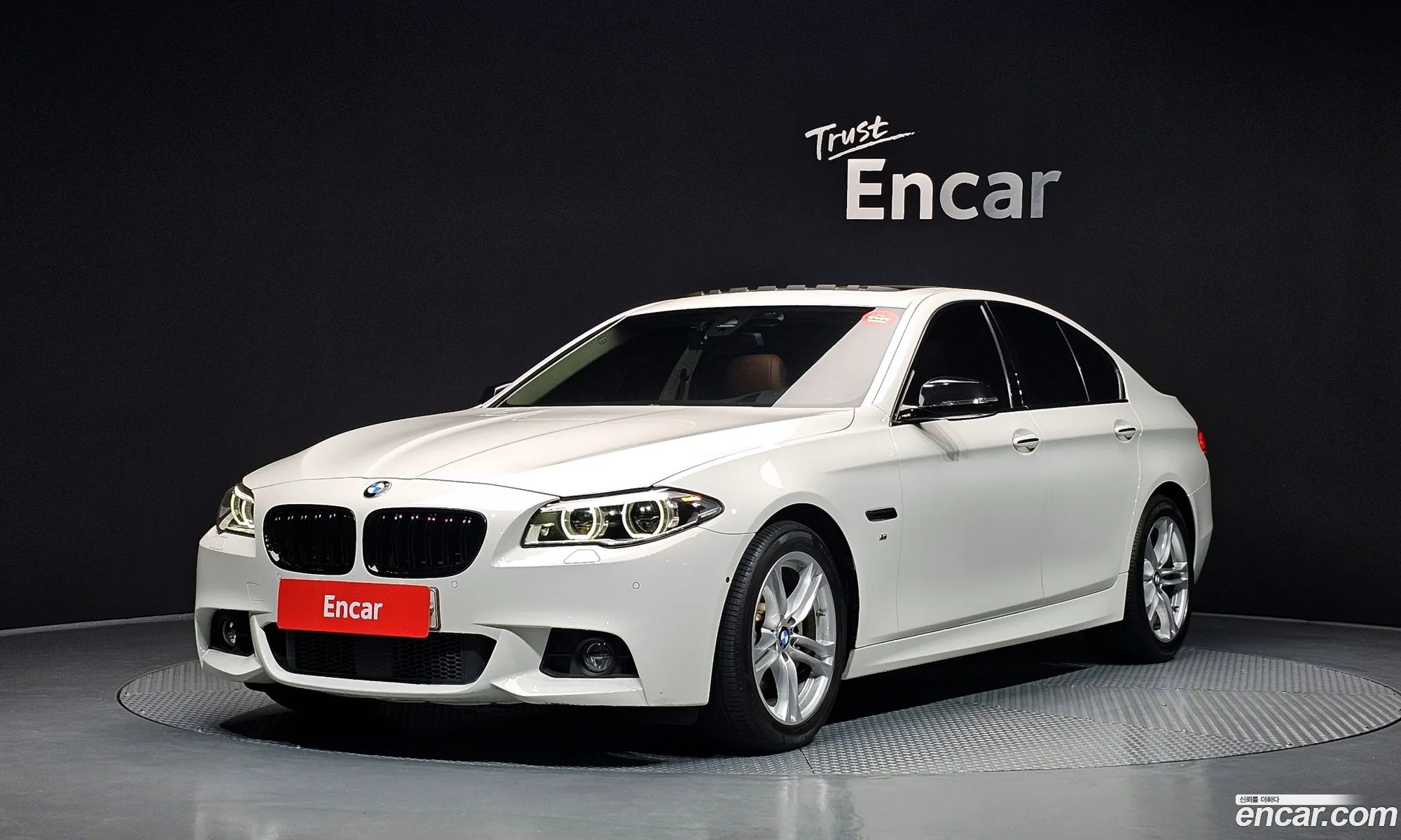 BMW 5 Series 2016 WBA5E5108GG209410 — 13