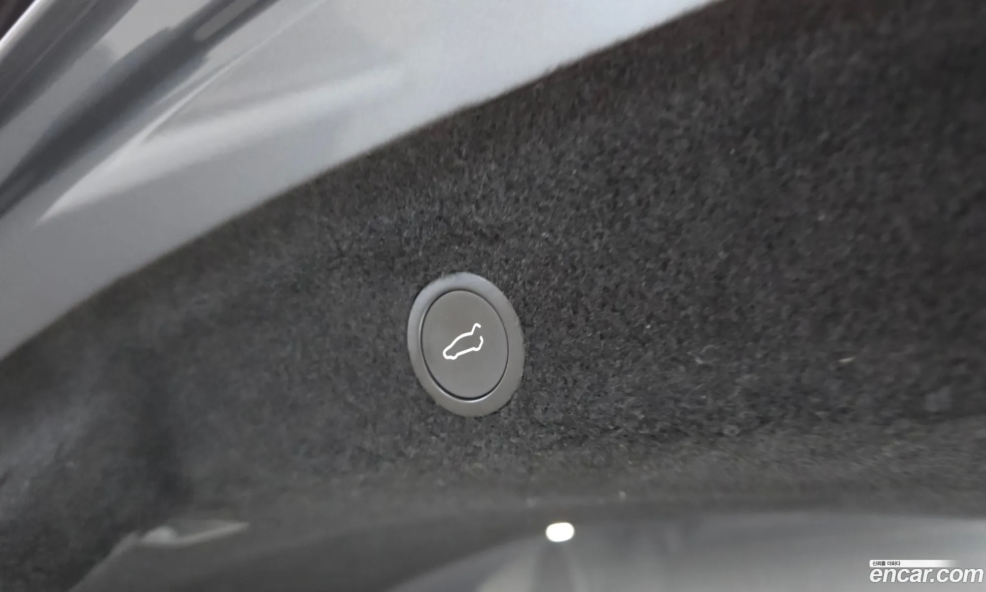 Tesla Model Y 2025 LRWYGCEK4SC018557 — 12