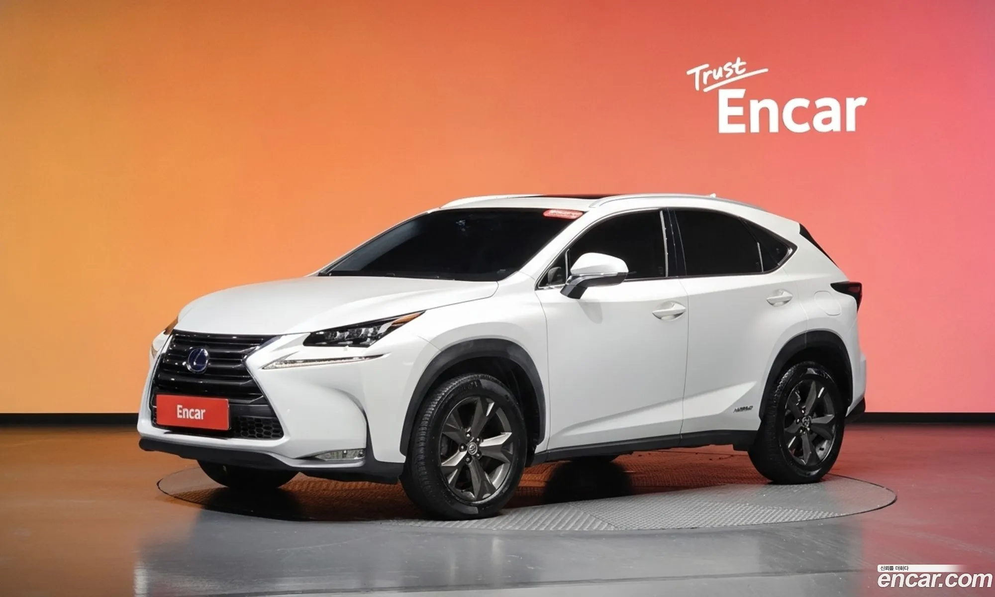 Lexus NX300h