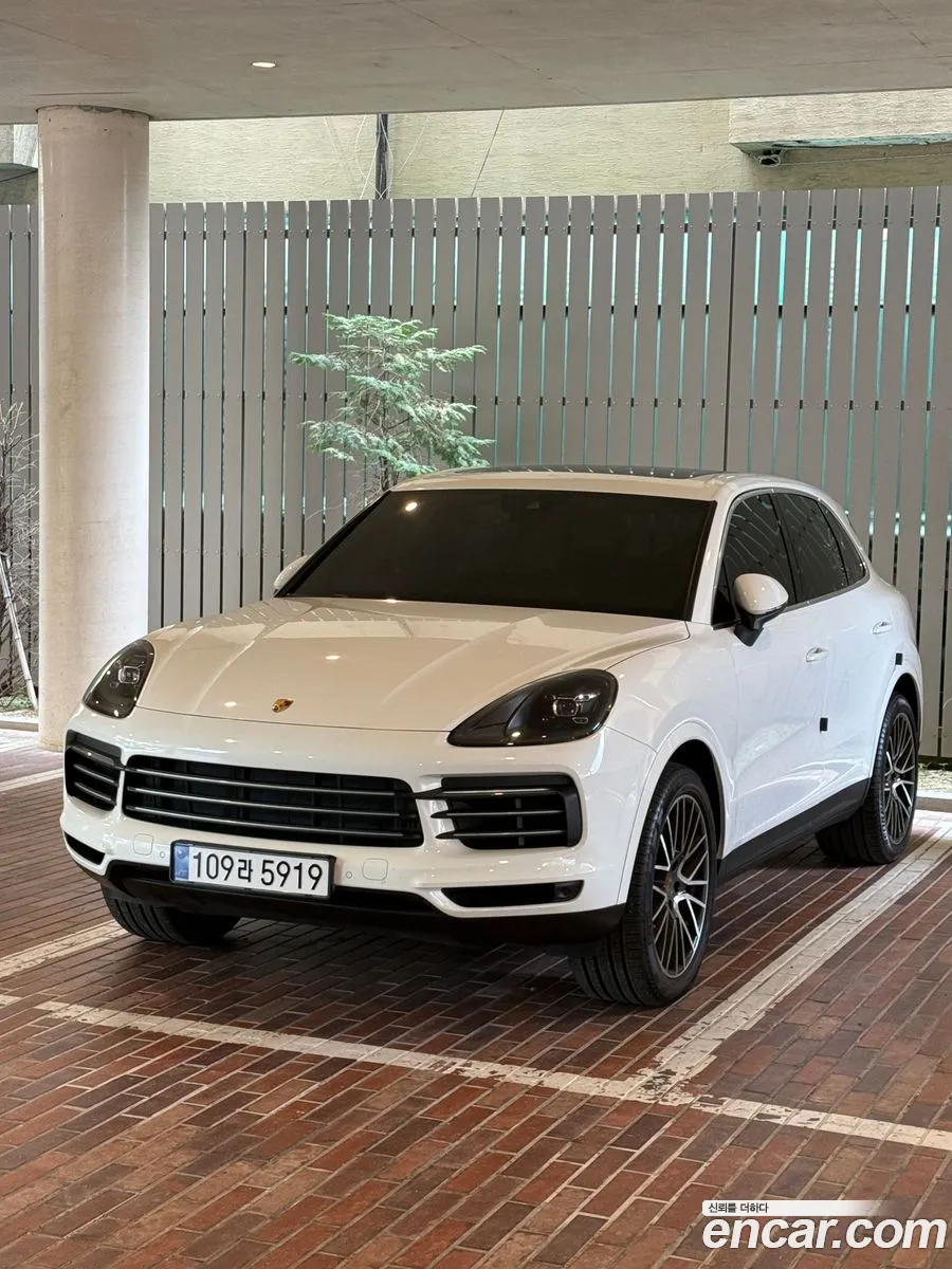 Porsche Cayenne 2019 — 3