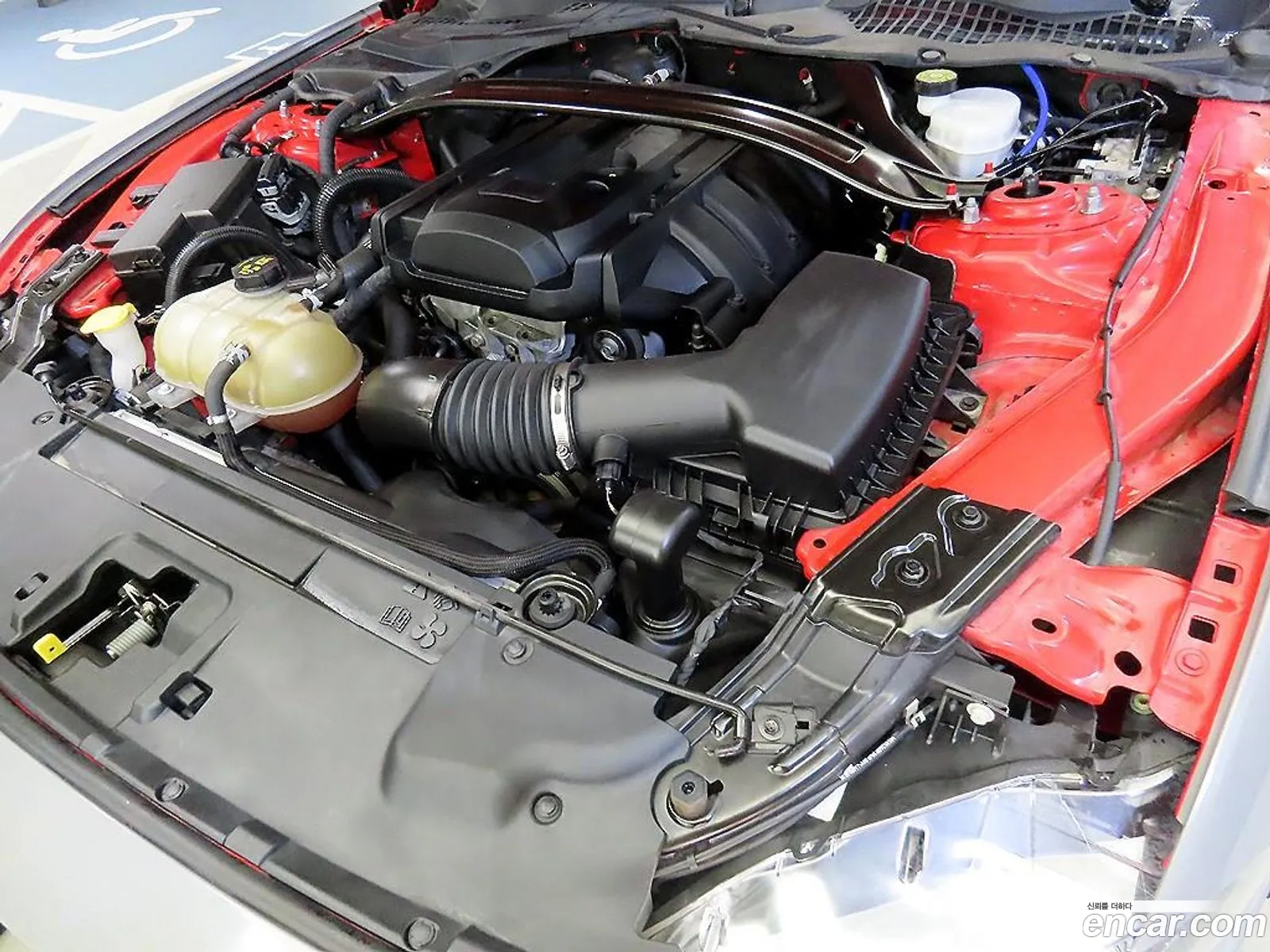 Ford Mustang 2019 1FATP8UH — 10
