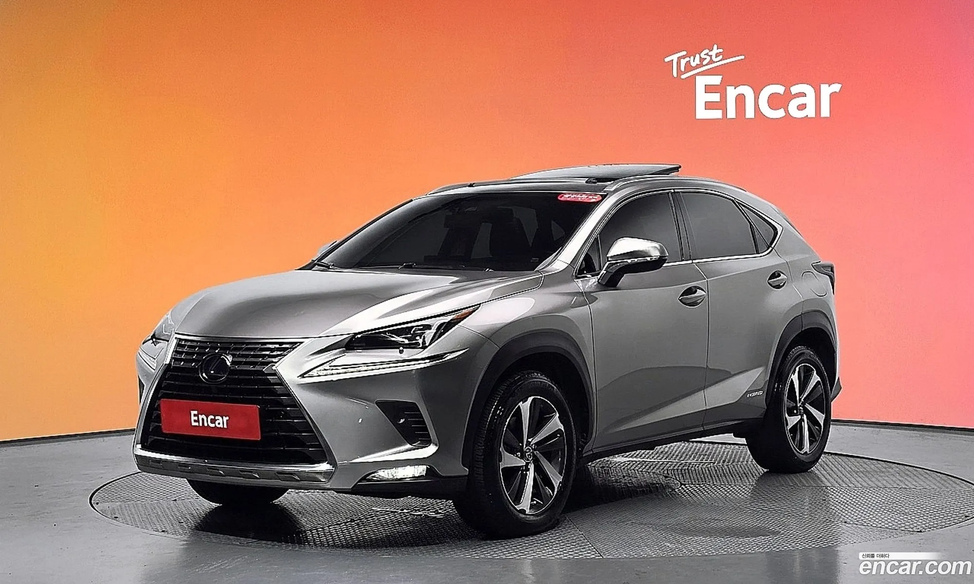 Lexus NX300h 2018 JTJBJRBZ5K2107572 — 9