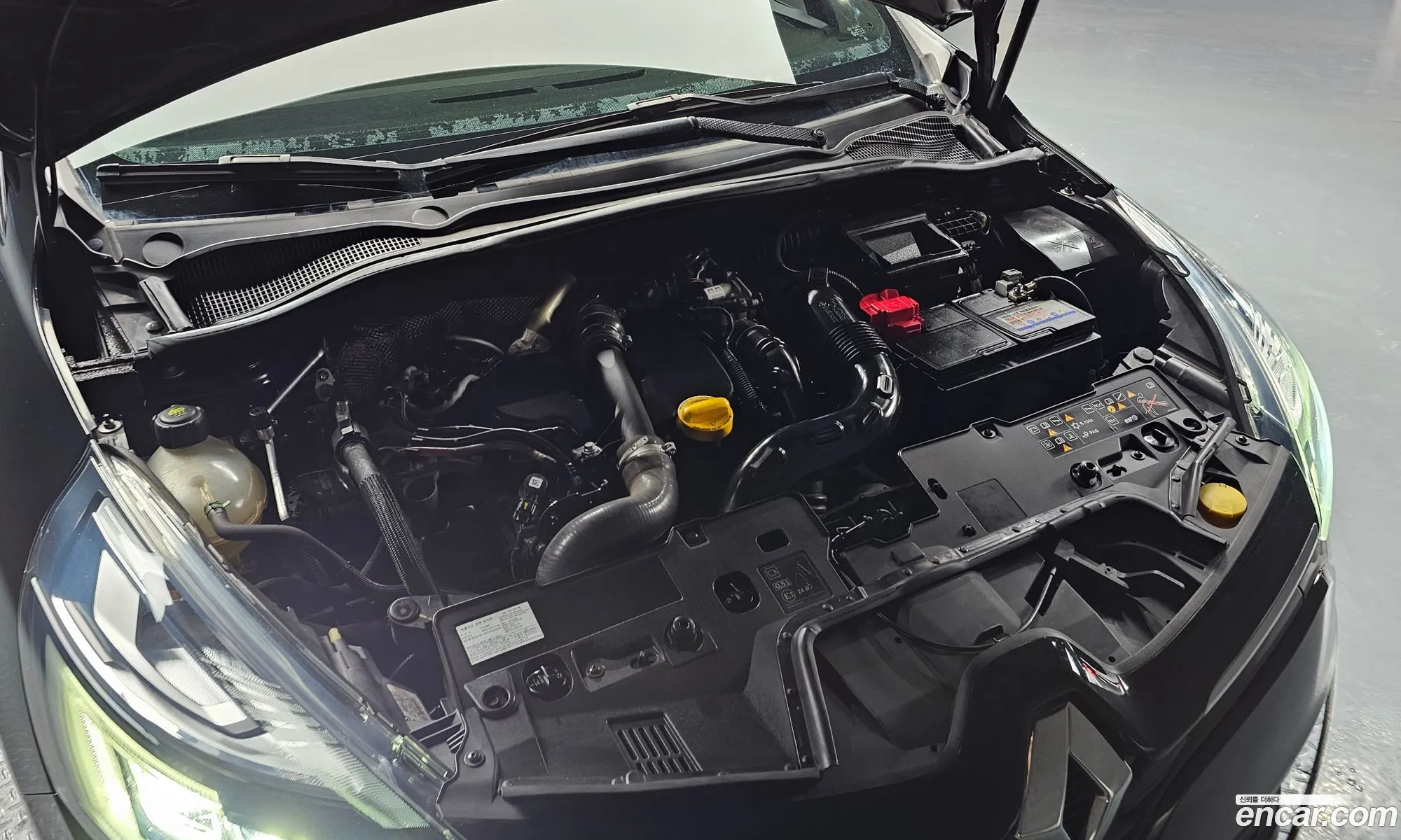 Renault Korea (Samsung) Clio 2019 — 8