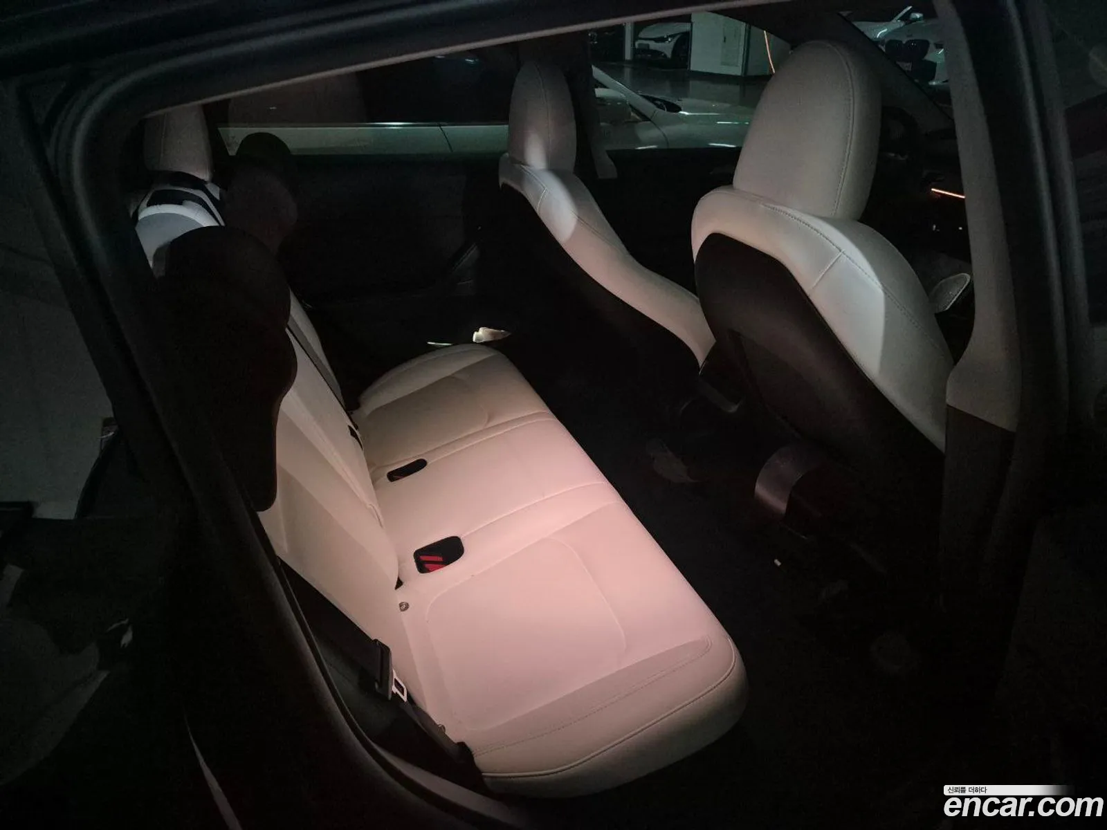 Tesla Model Y 2025 — 6