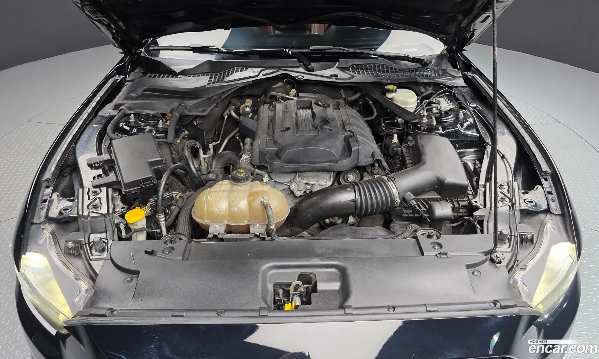 Ford Mustang 2016 1FATP8UH4G5240226 — 20
