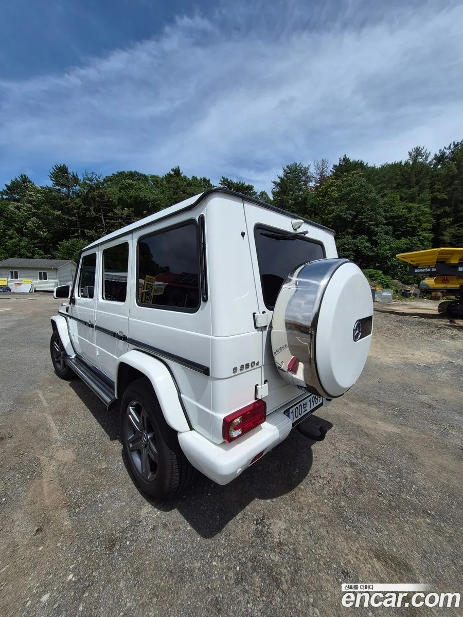 Mercedes-Benz G-Class W463 2017 — 17
