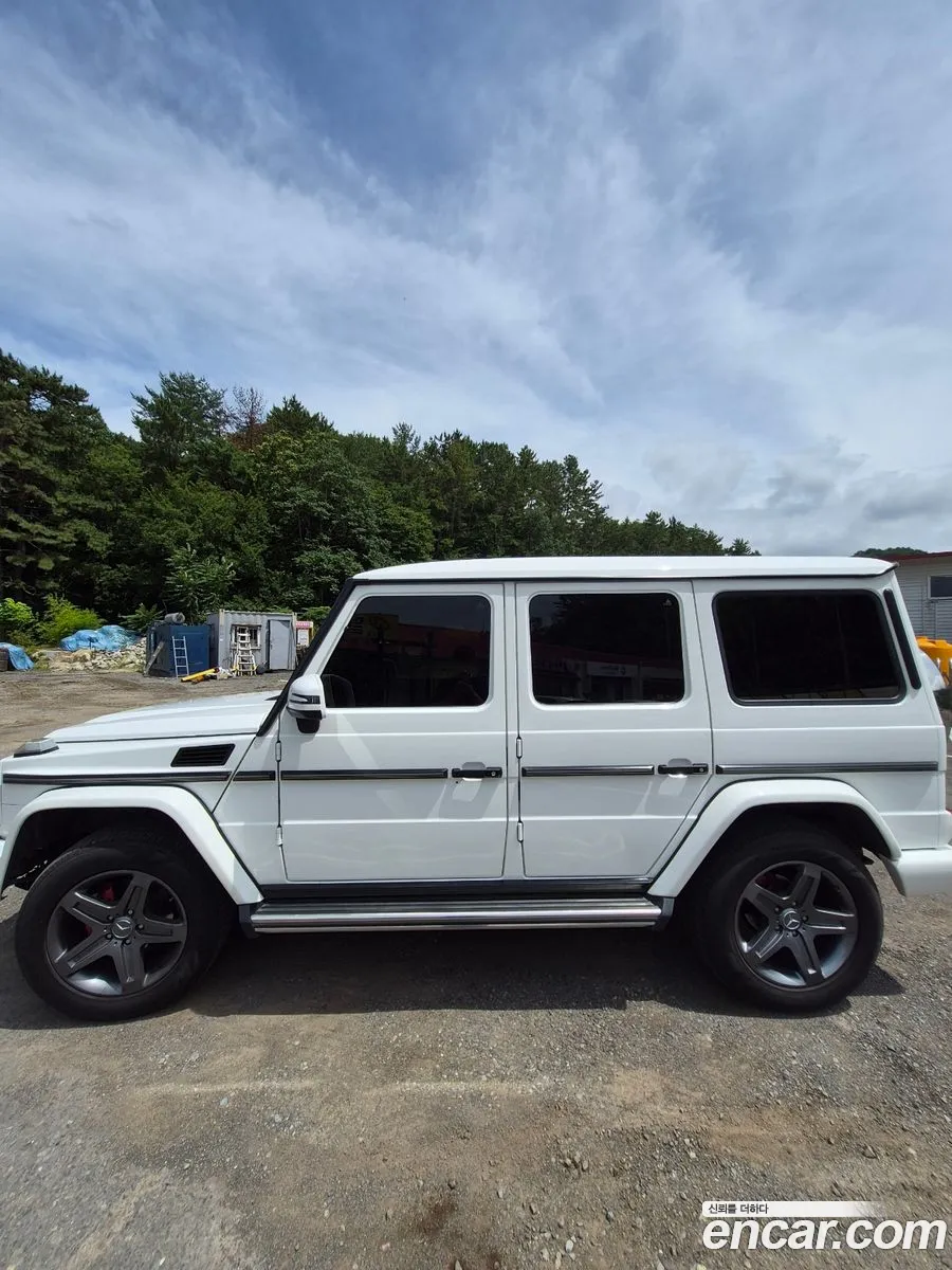 Mercedes-Benz G-Class W463 2017 — 8